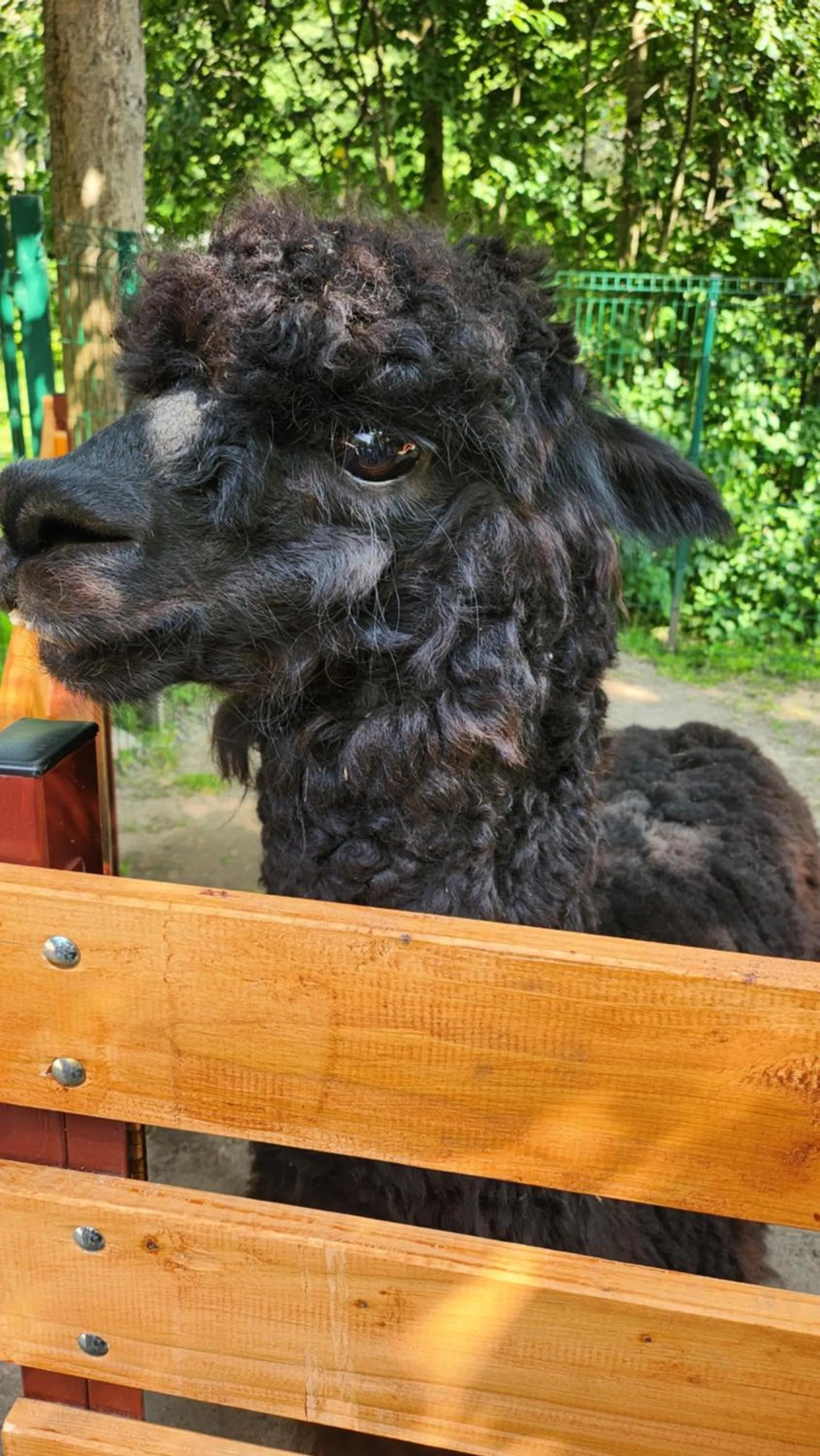 Nearby landmark in Villa Pallas