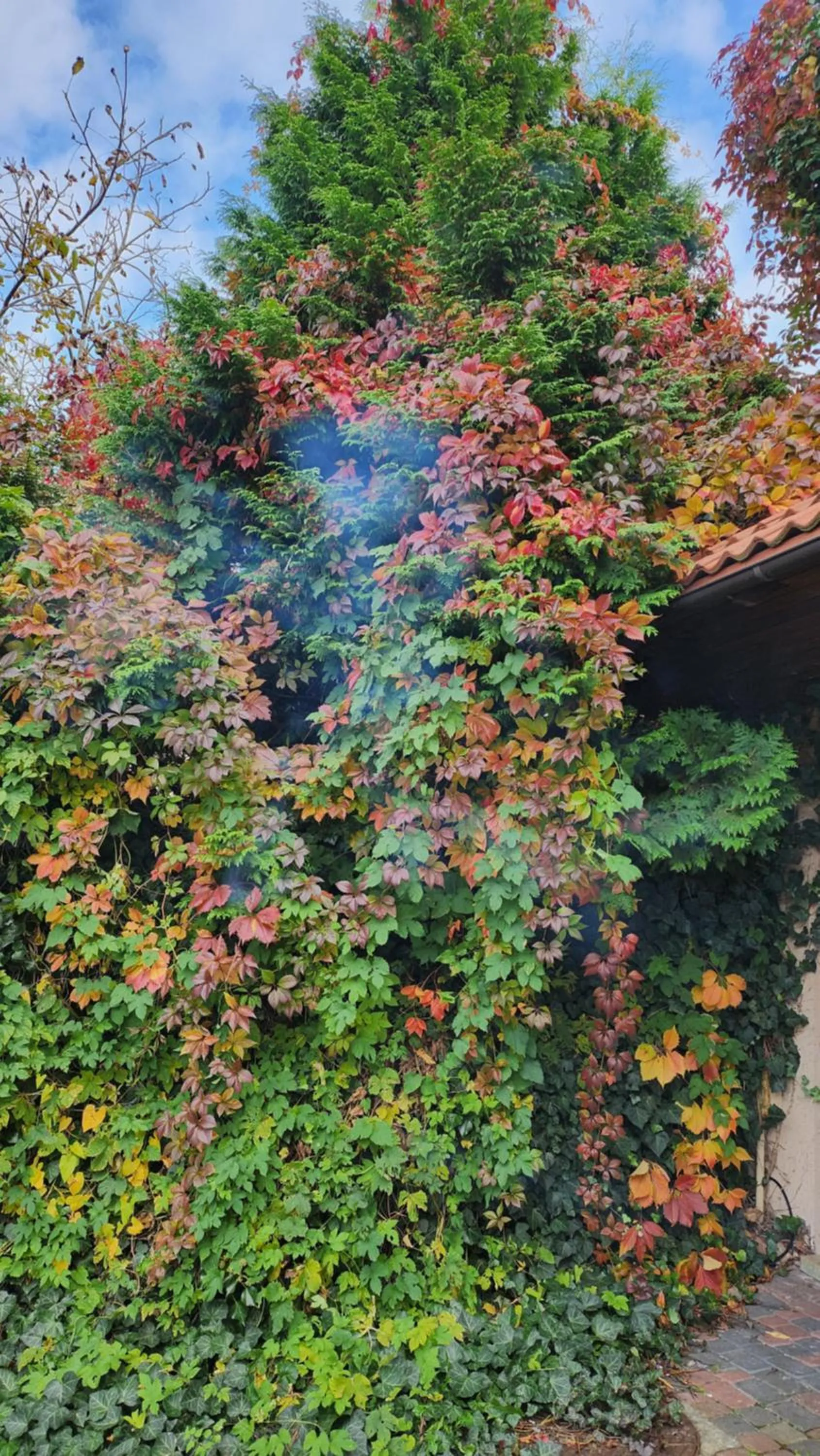 Property building in Villa Pallas