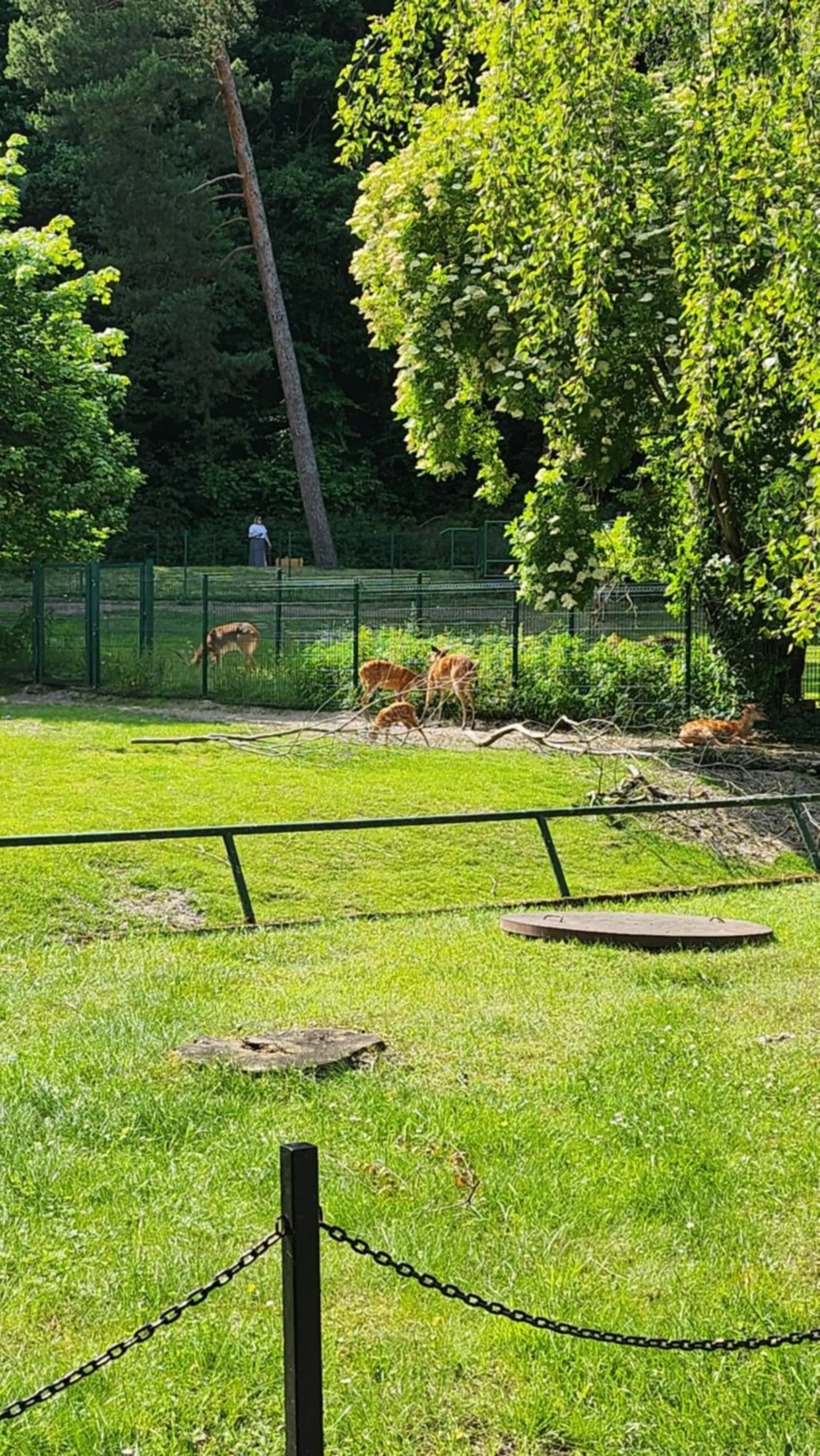 Spring in Villa Pallas