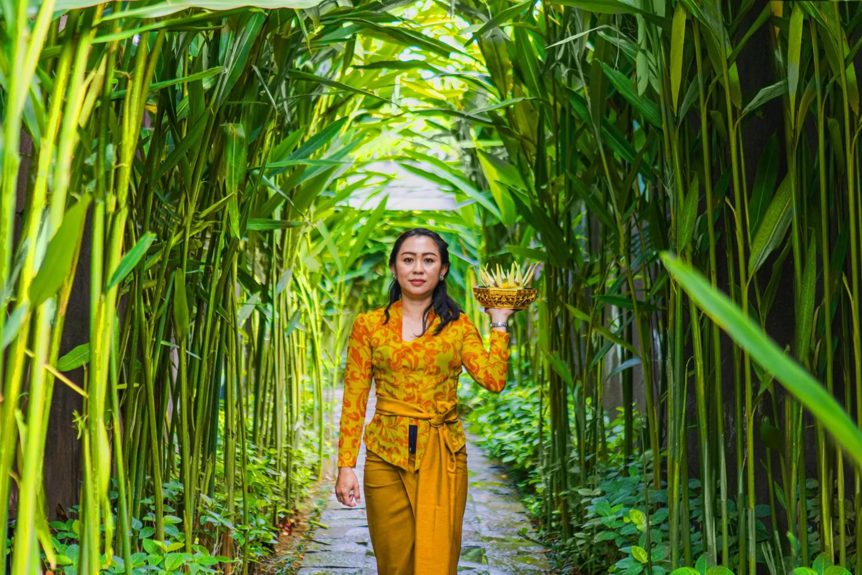 Garden in Ziva a Boutique Villa
