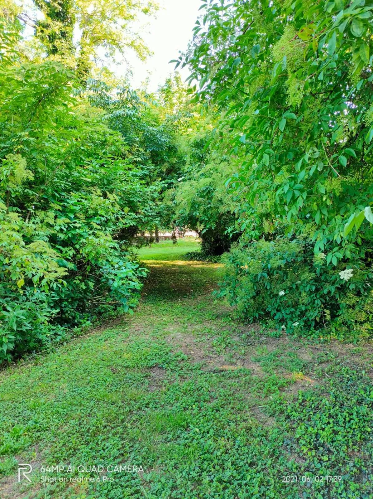 Garden in B&B Corte Vo Grande