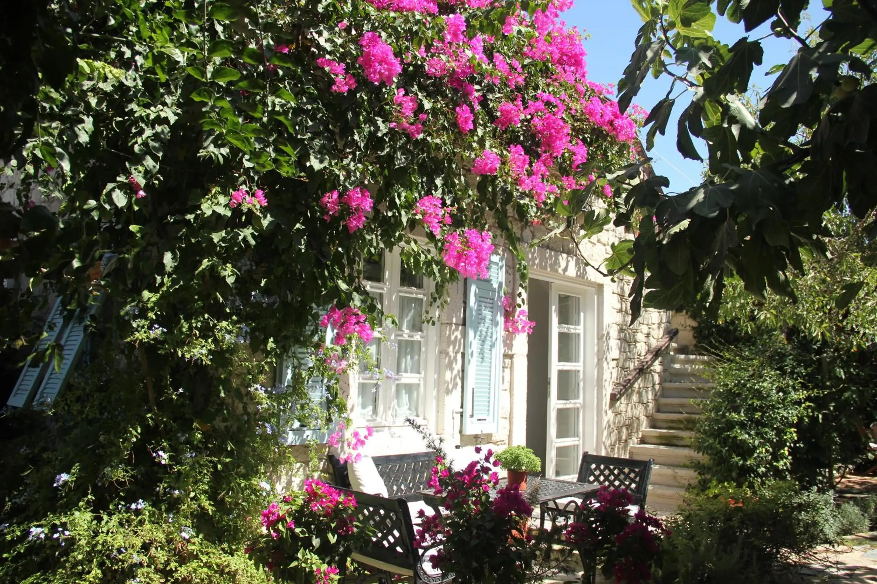 Incirliev - Special Category Incirliev - Special Category