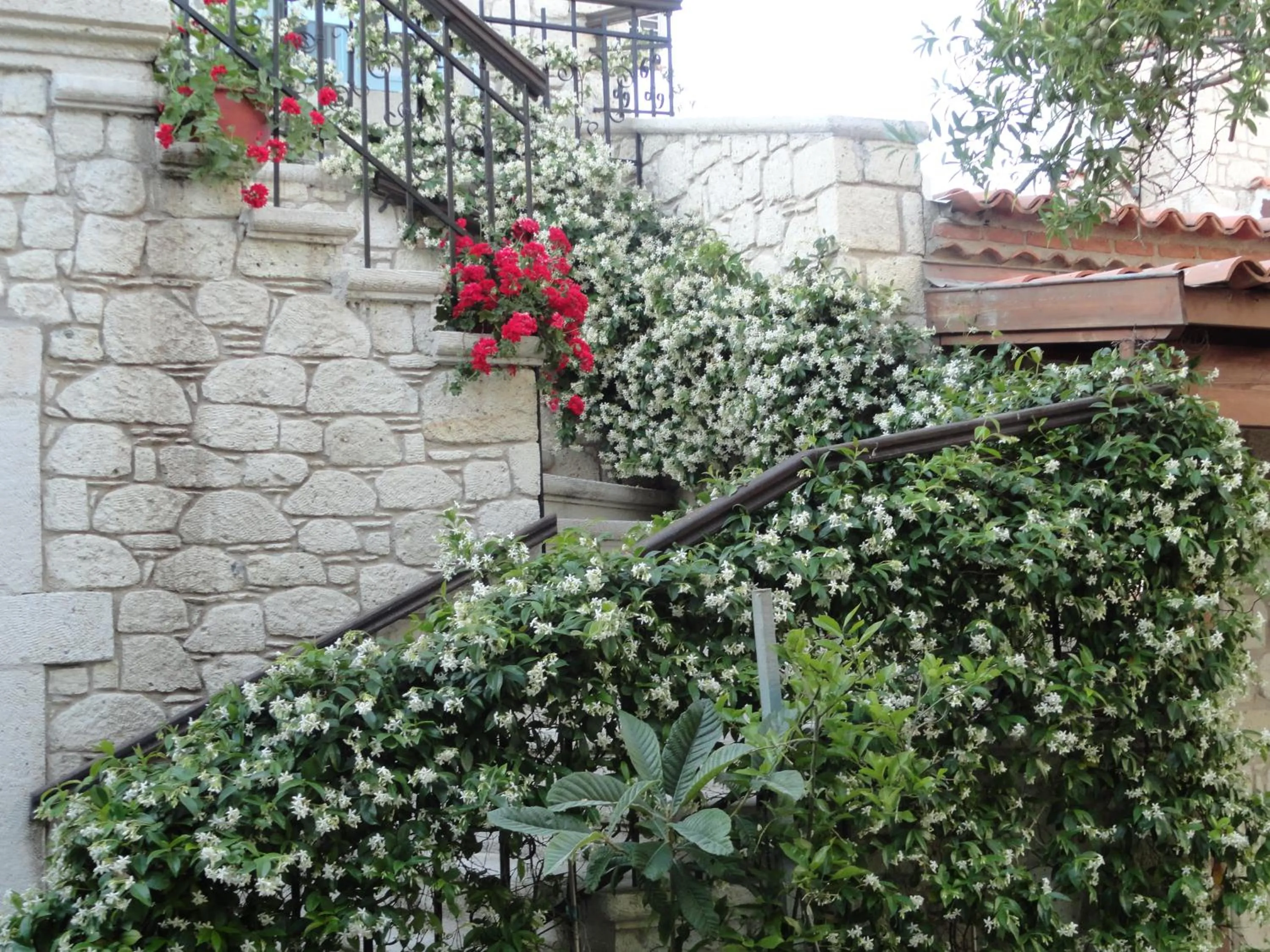 Garden in Incirliev - Special Category