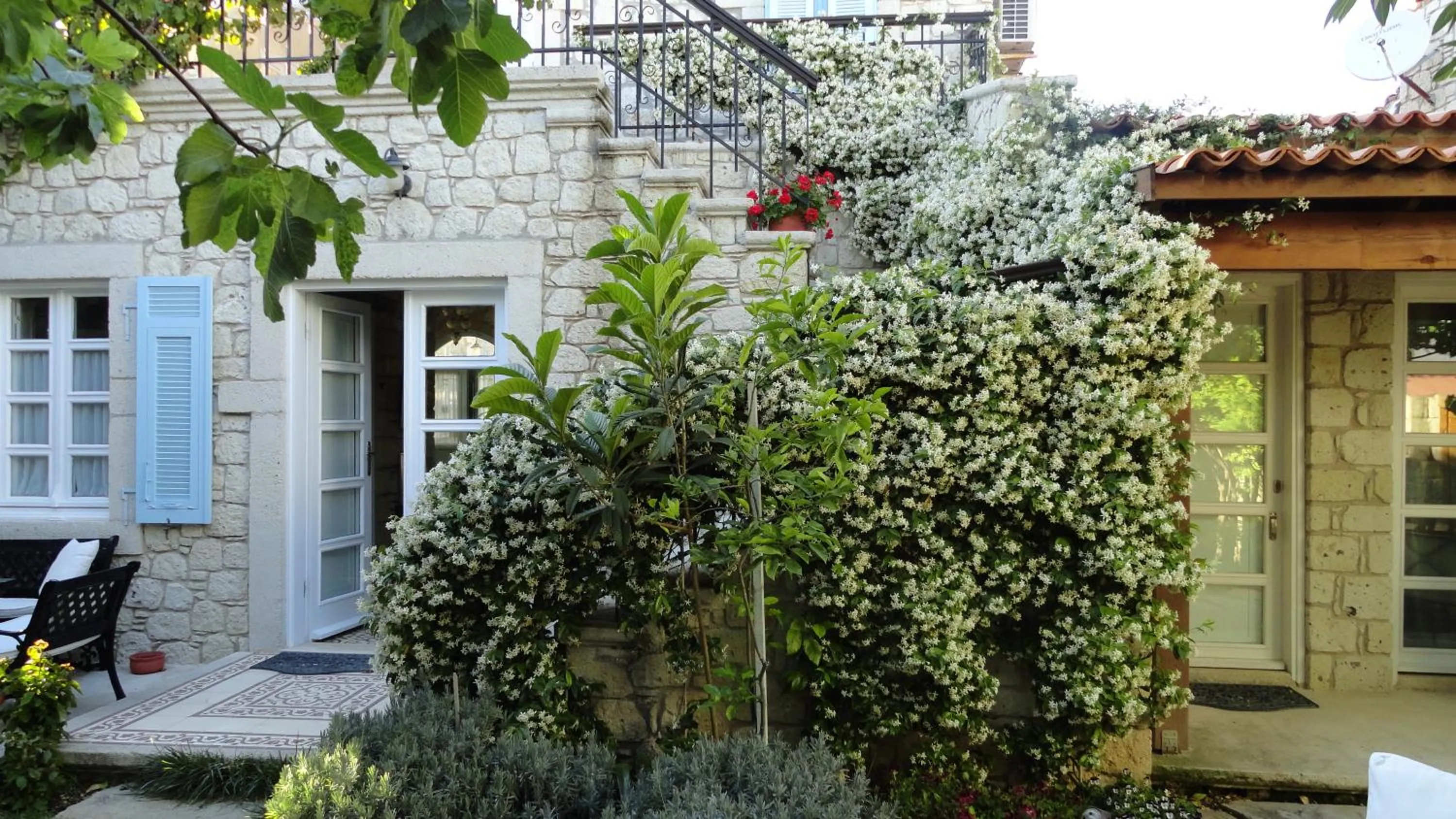 On site in Incirliev - Special Category