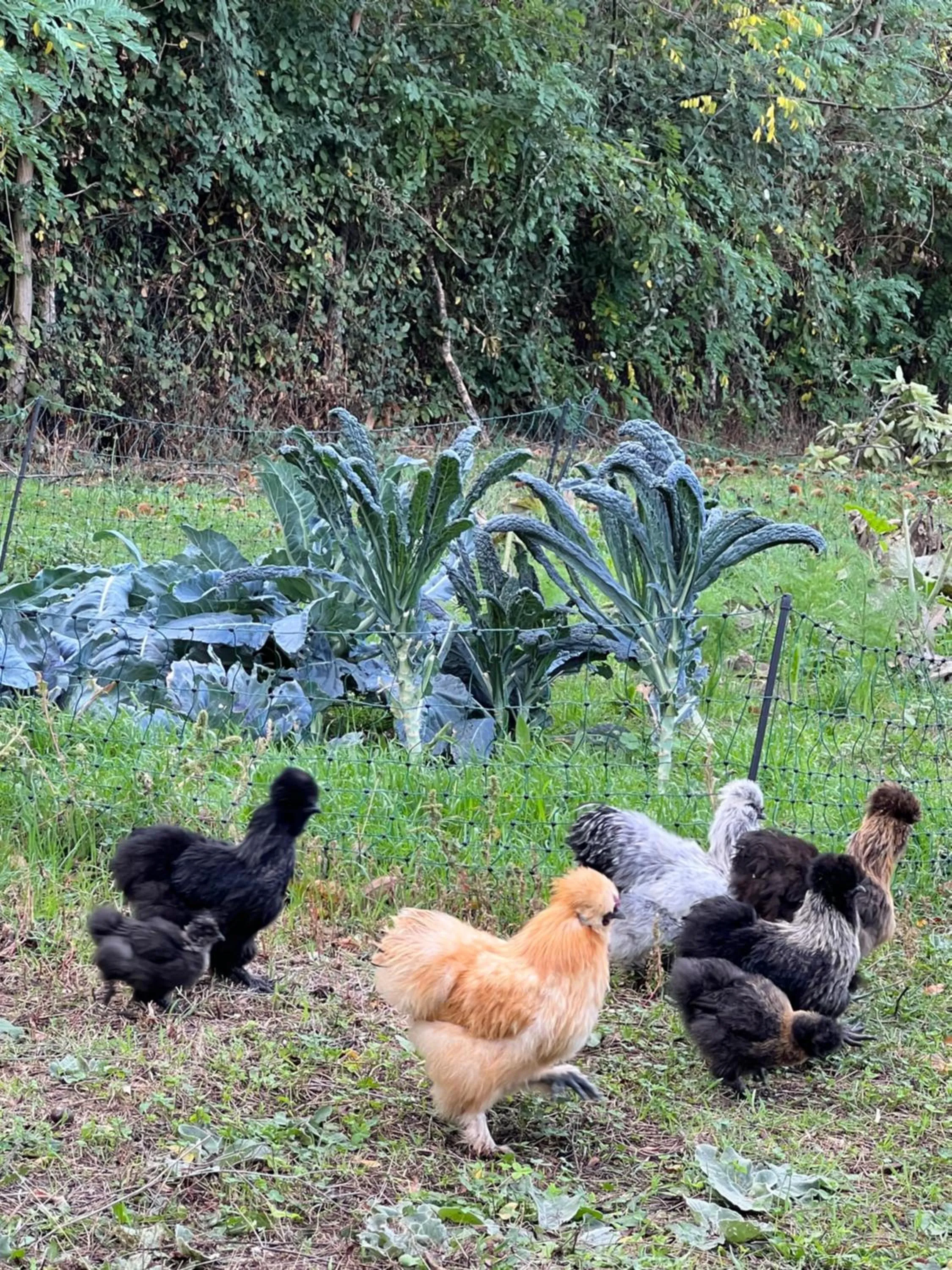 Natural landscape in B&B Podere Legnotorto