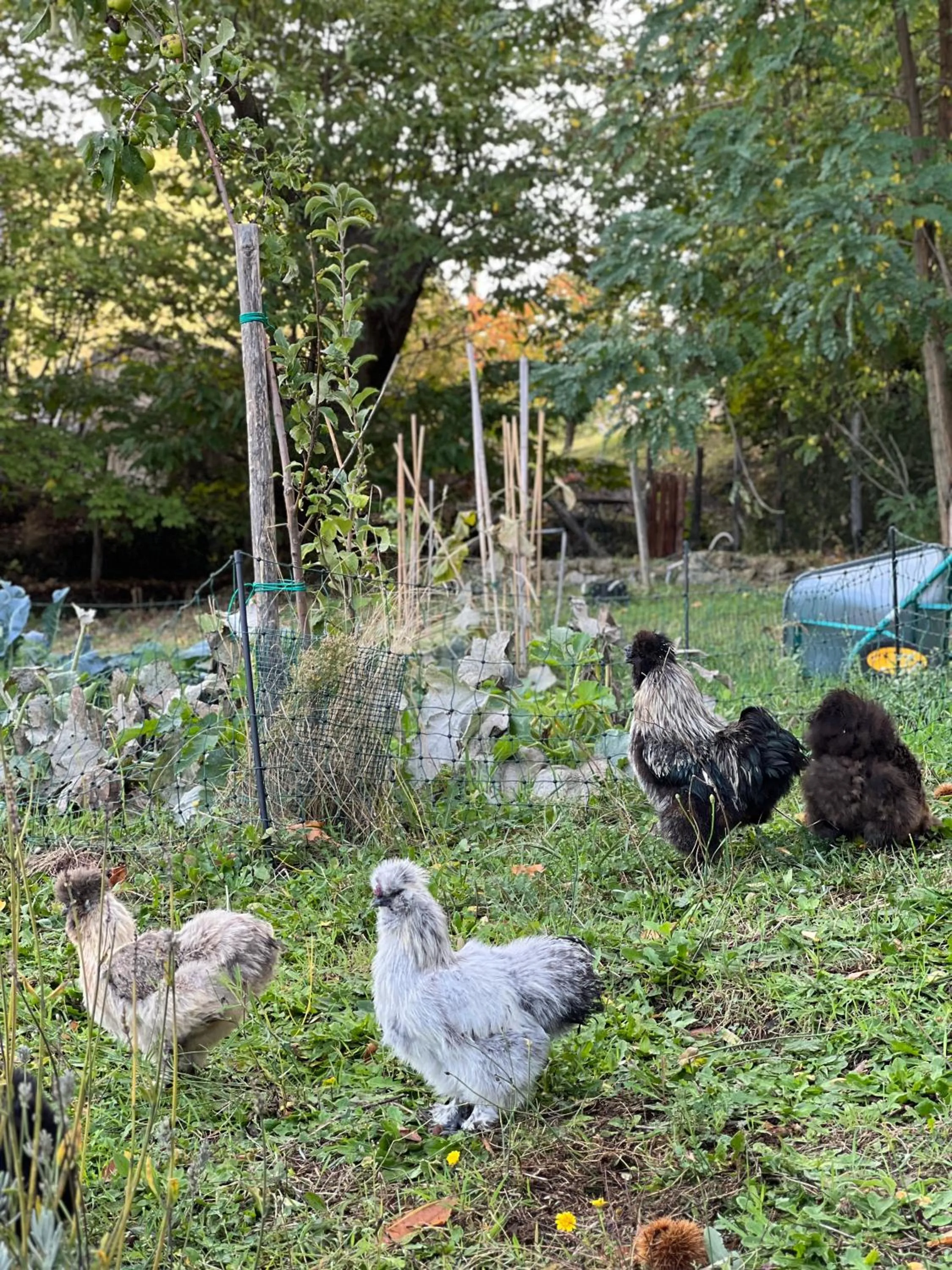 Garden in B&B Podere Legnotorto