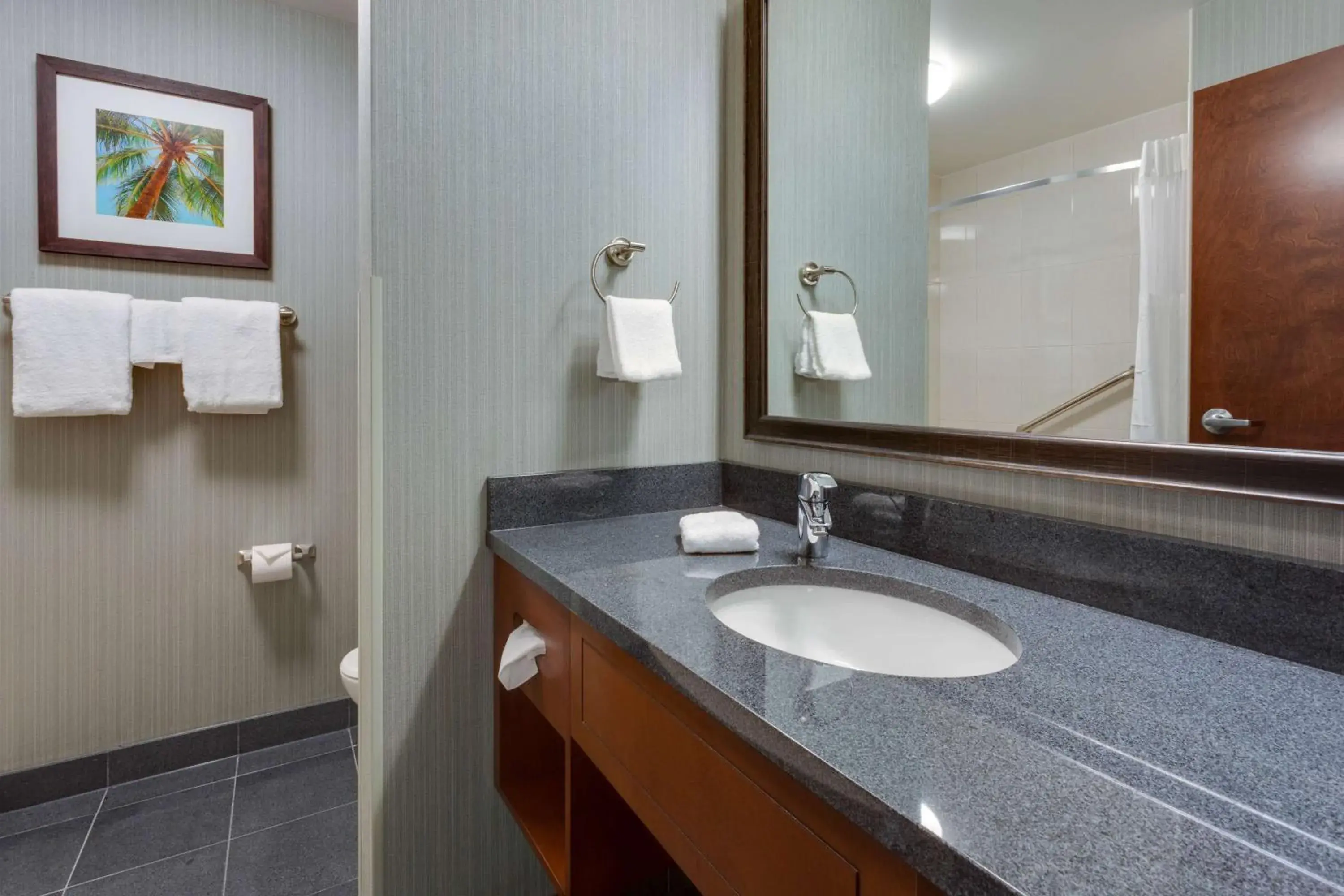 Deluxe King Room - Hearing Accessible, Shower in Drury Inn & Suites Gainesville Deluxe King Room - Hearing Accessible, Shower in Drury Inn & Suites Gainesville
