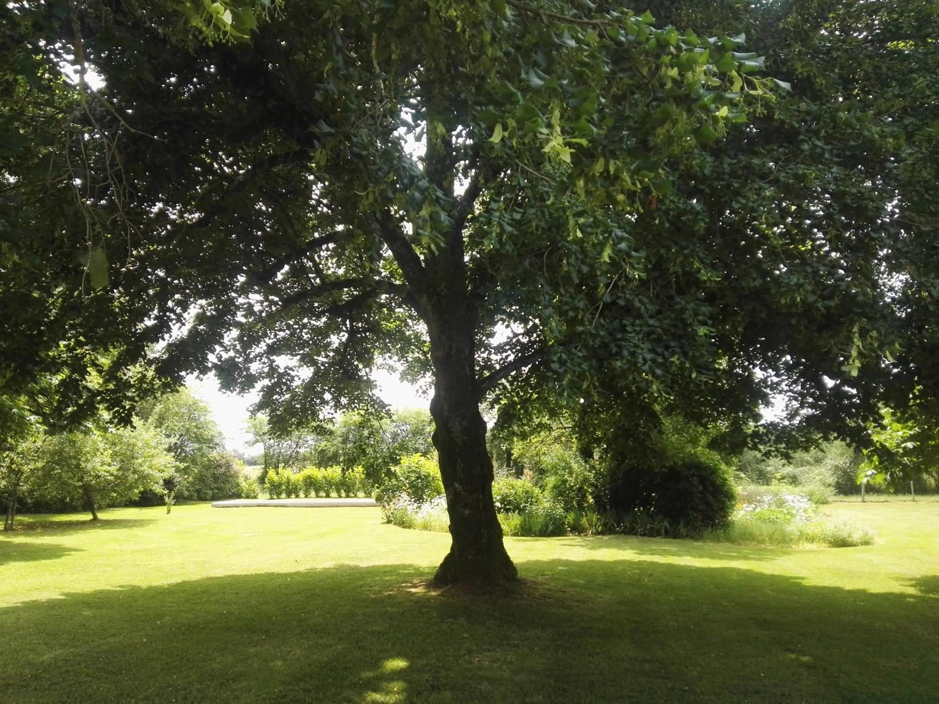 Garden view in Le Chene Vert