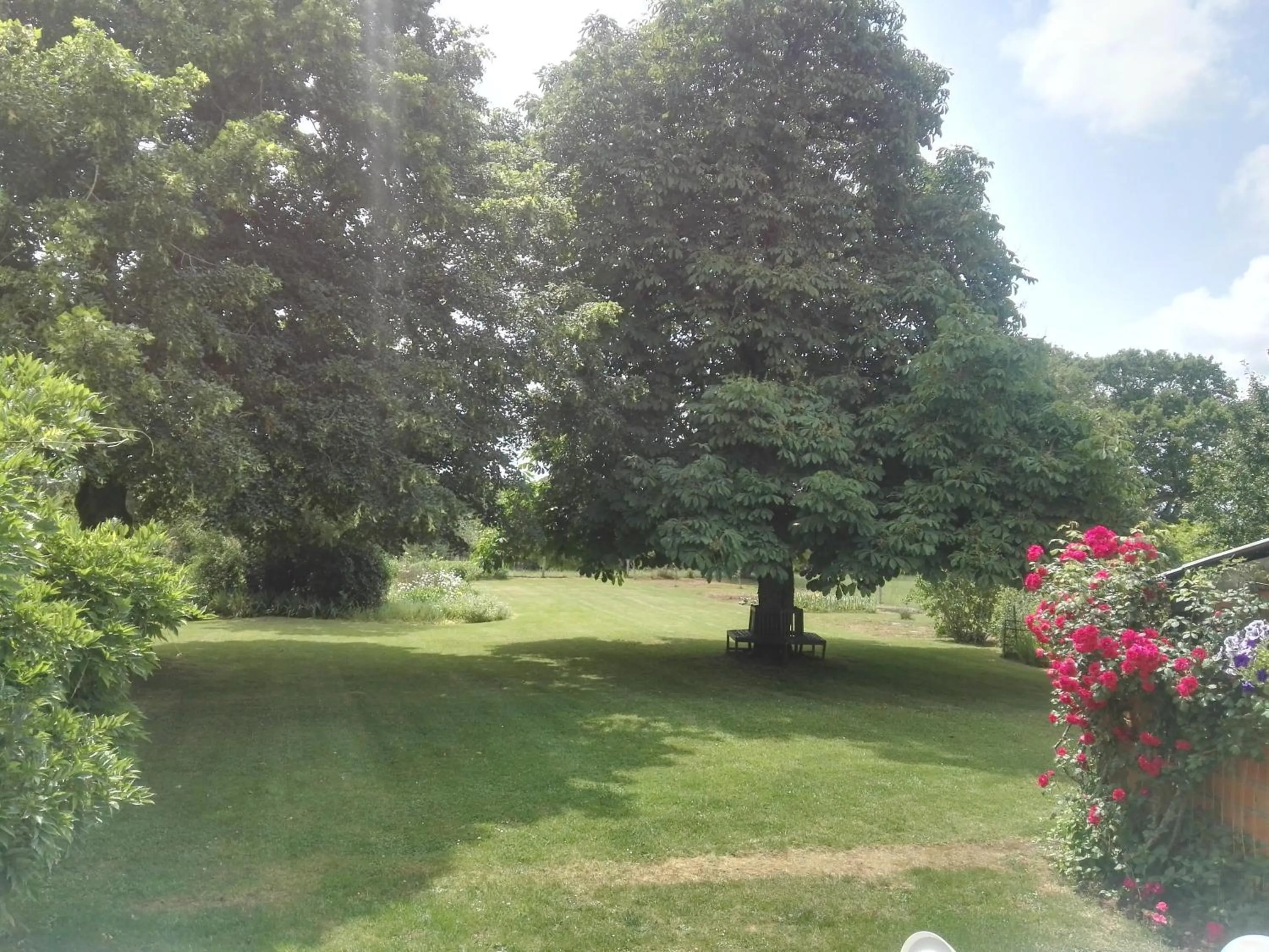 Garden view in Le Chene Vert