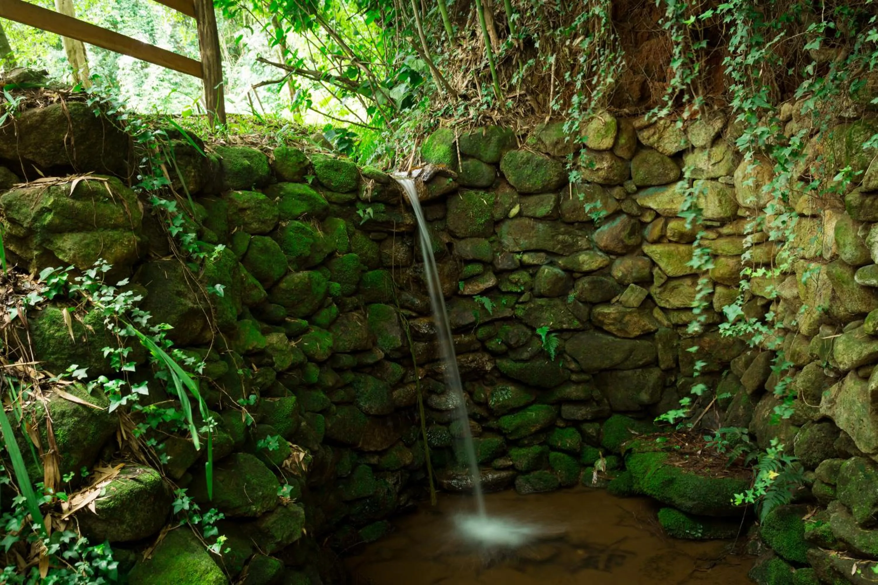 Pousada Trem das Cores