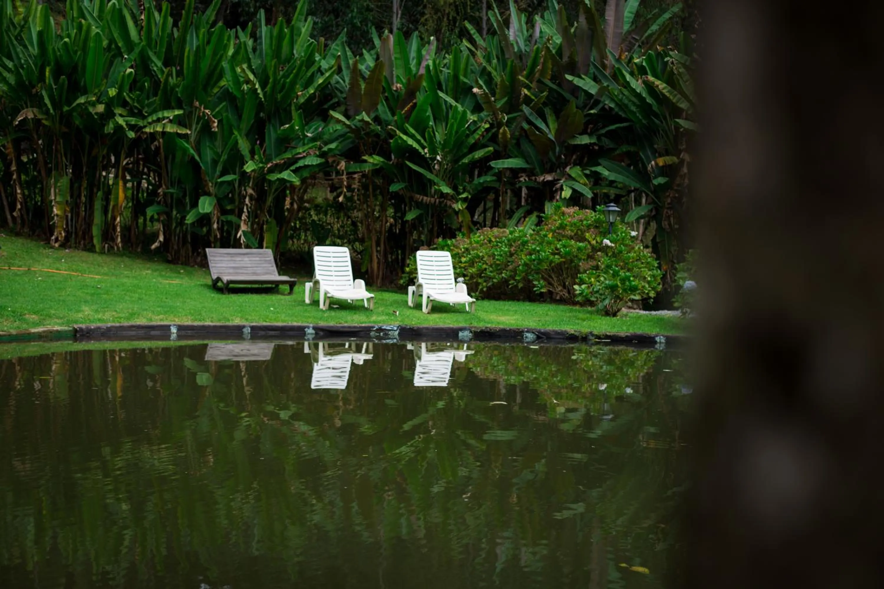 Swimming pool in Pousada Trem das Cores