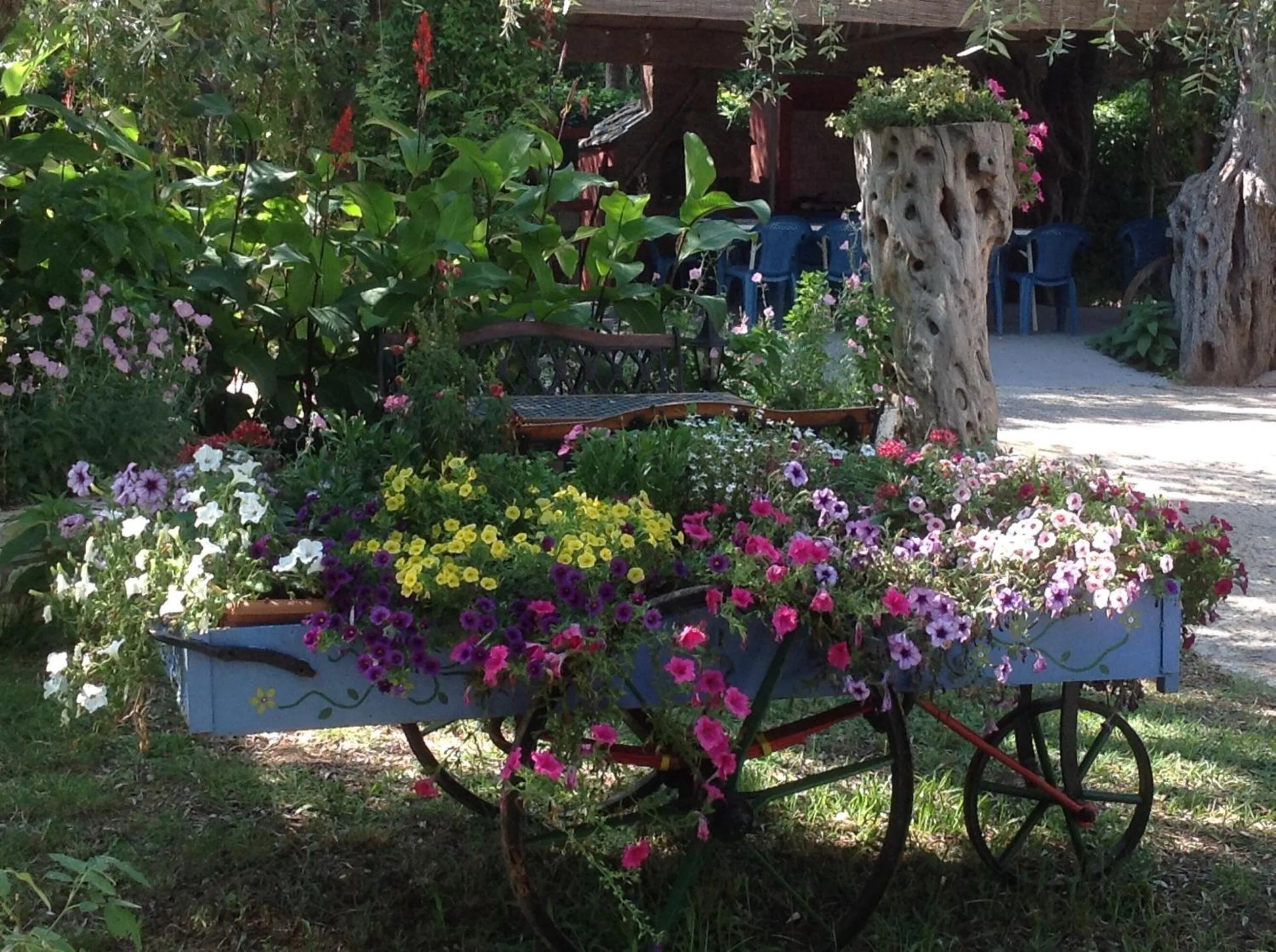 Spring in Aneton
