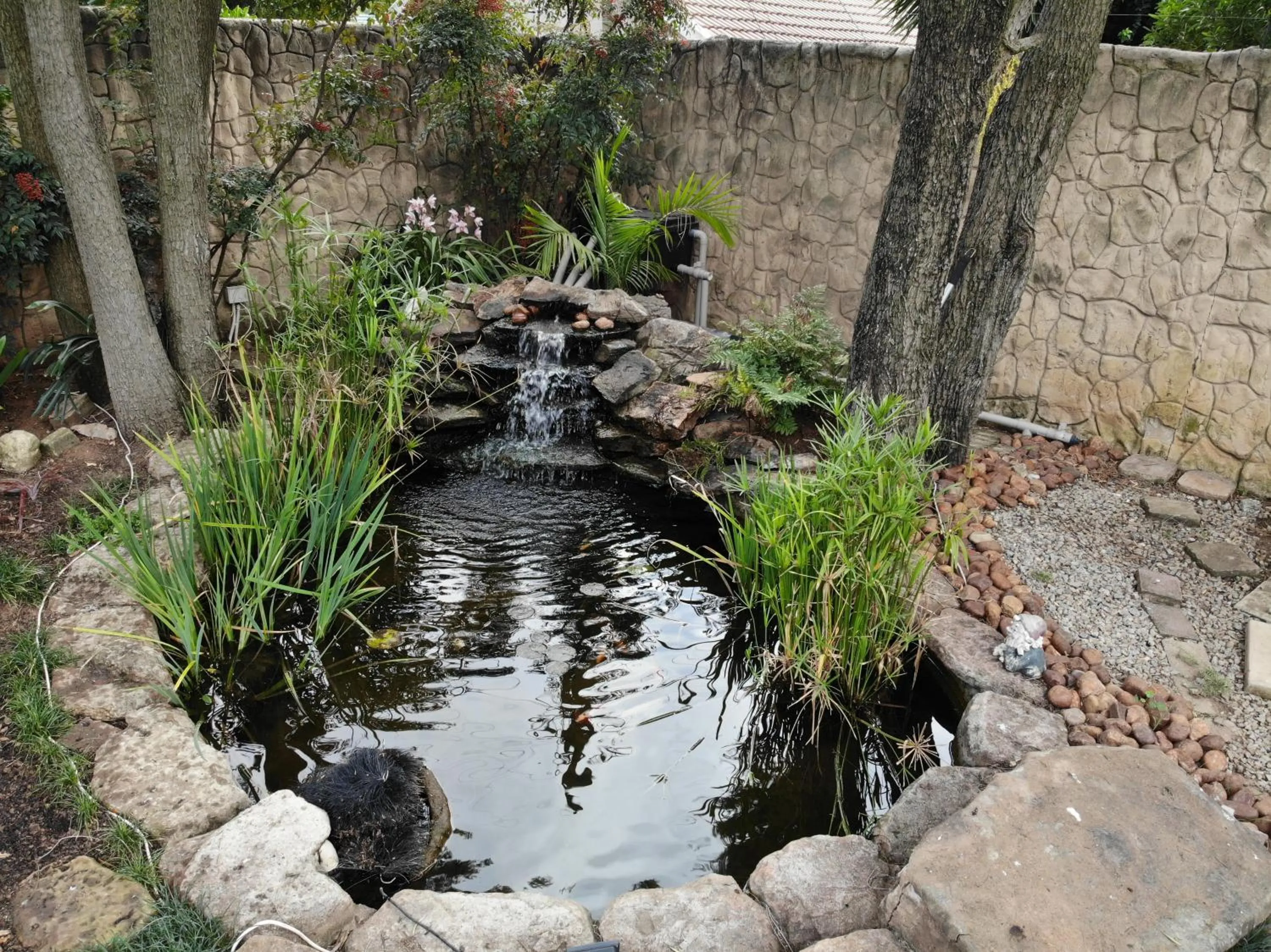 Natural landscape in 49-on-Cherry