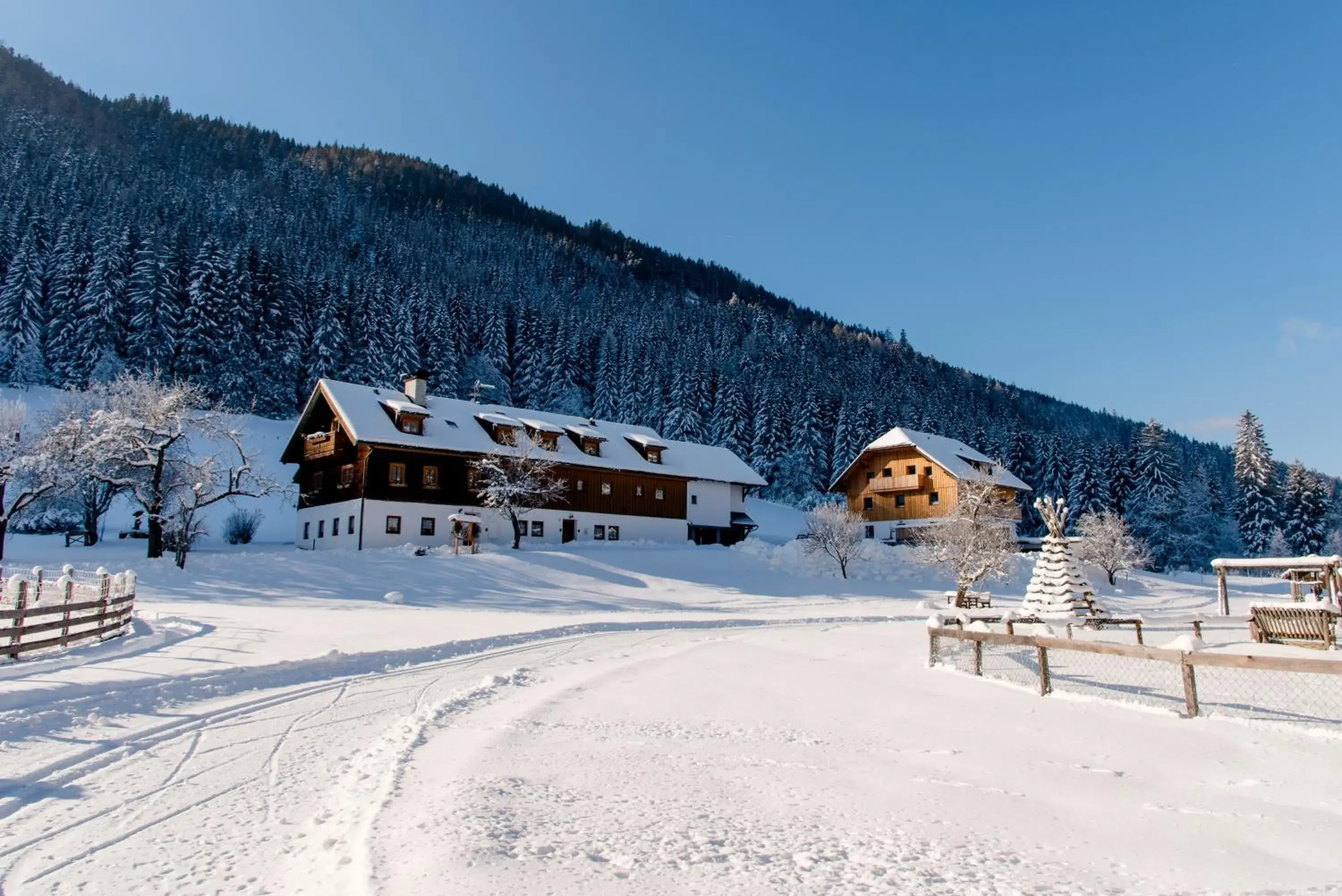 Ferienparadies Wiesenbauer Ferienparadies Wiesenbauer