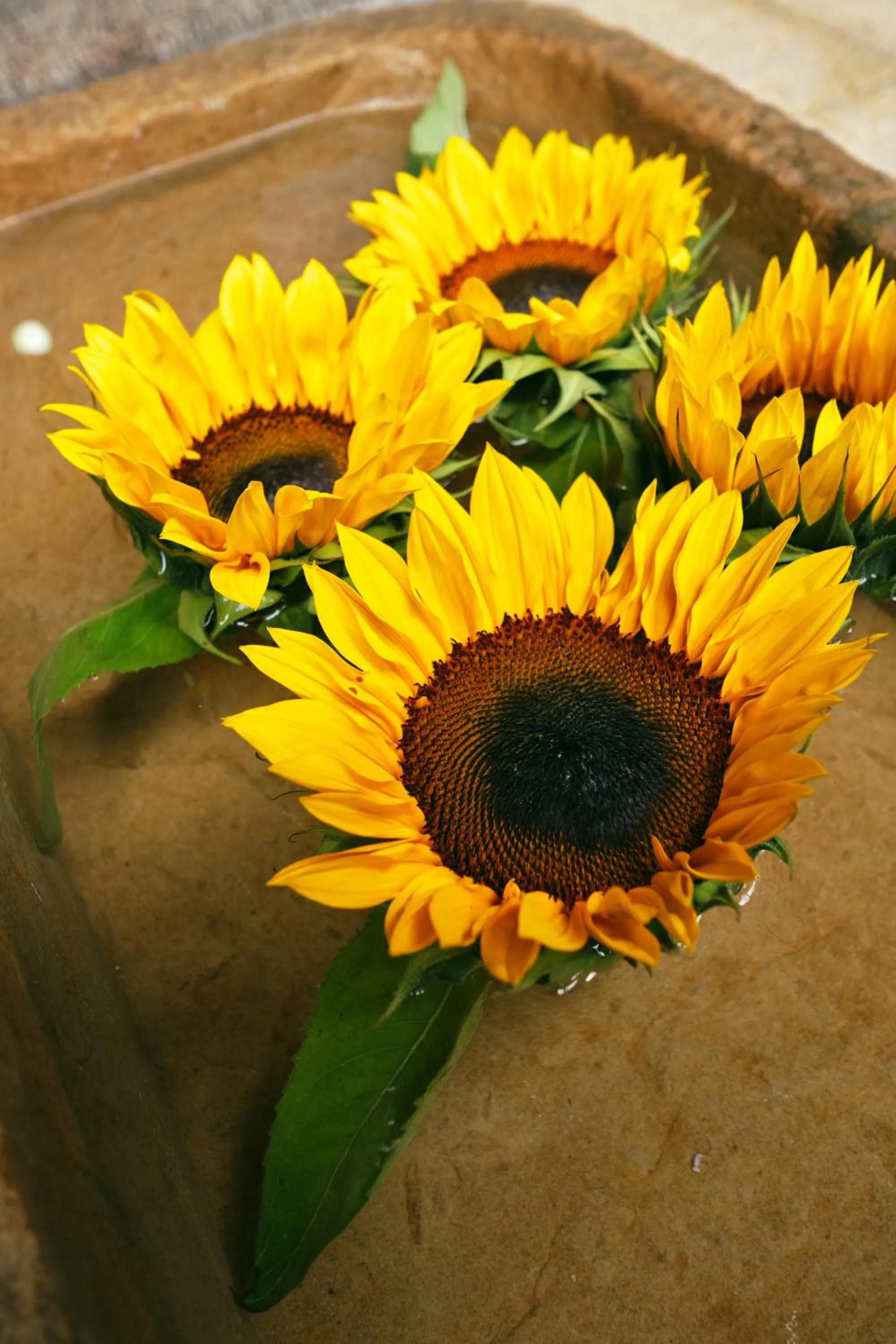 Decorative detail in Hotel Retiro 84 by MIJ