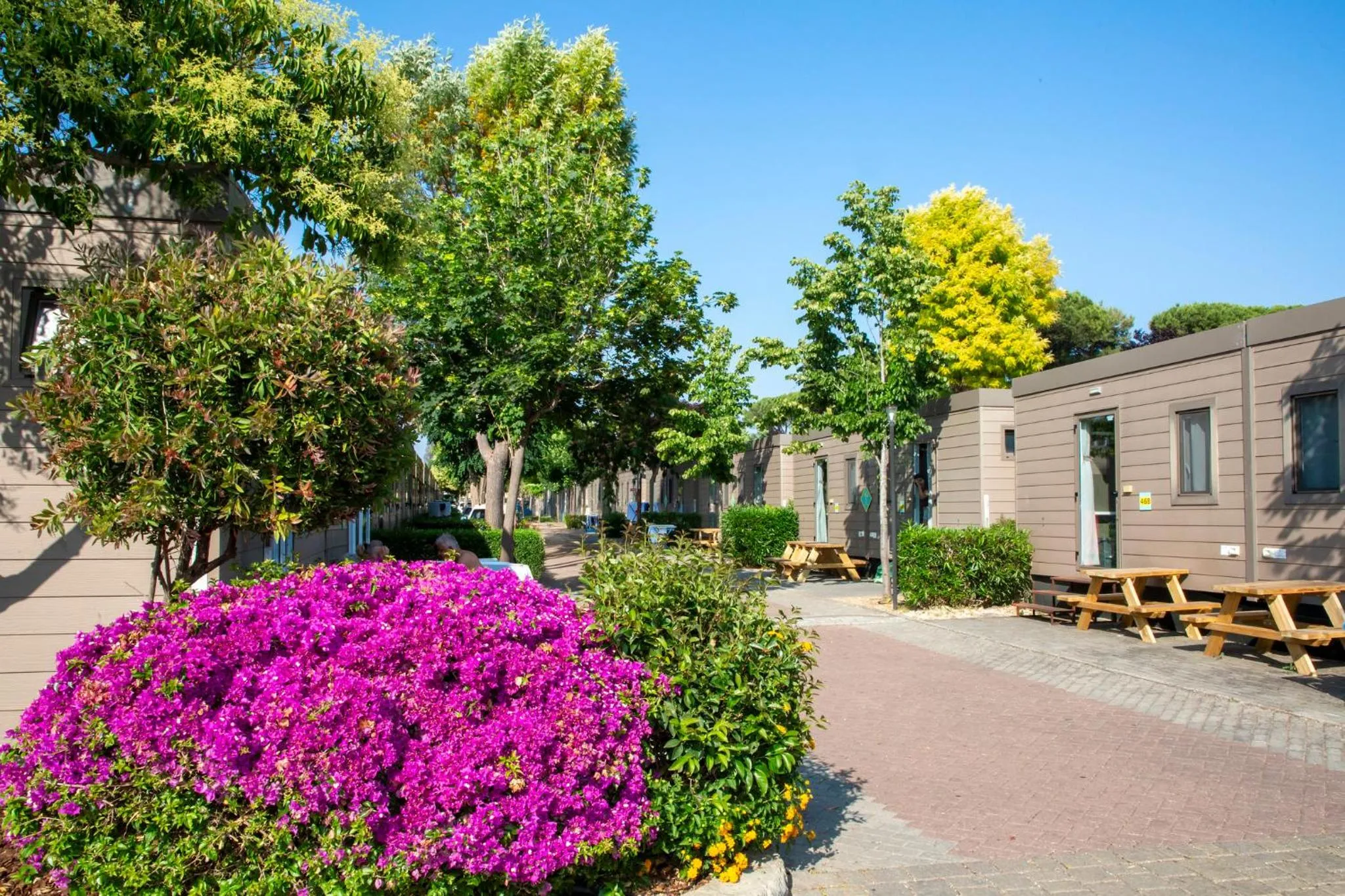 Garden view in hu Roma Camping In Town