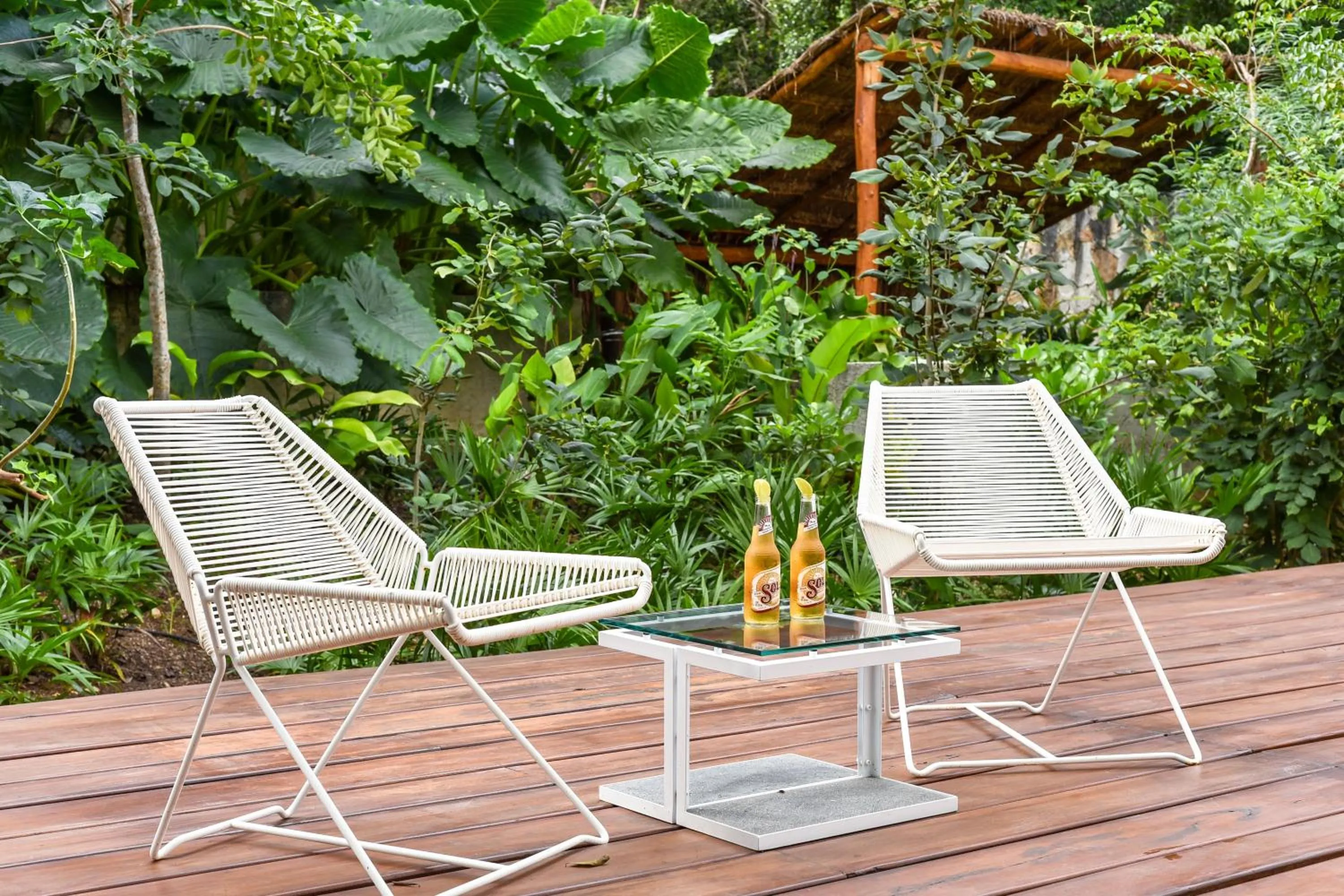 Garden in Casa de Piedra Tulum