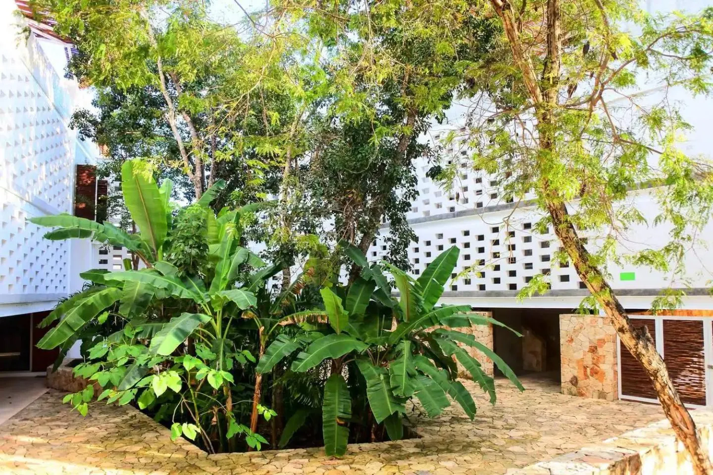 Property building in Casa de Piedra Tulum