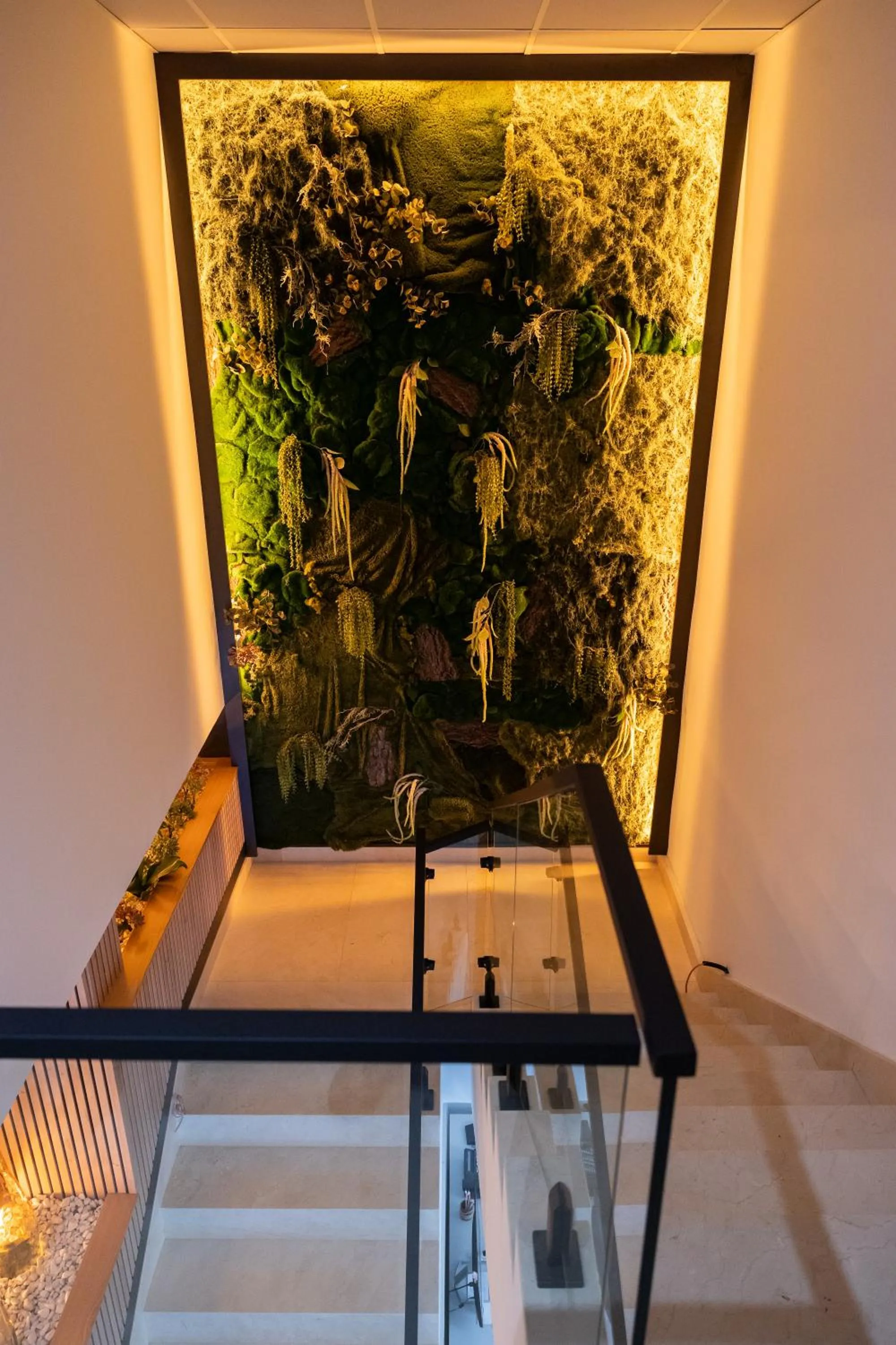 Habitus Casa Lorenzo