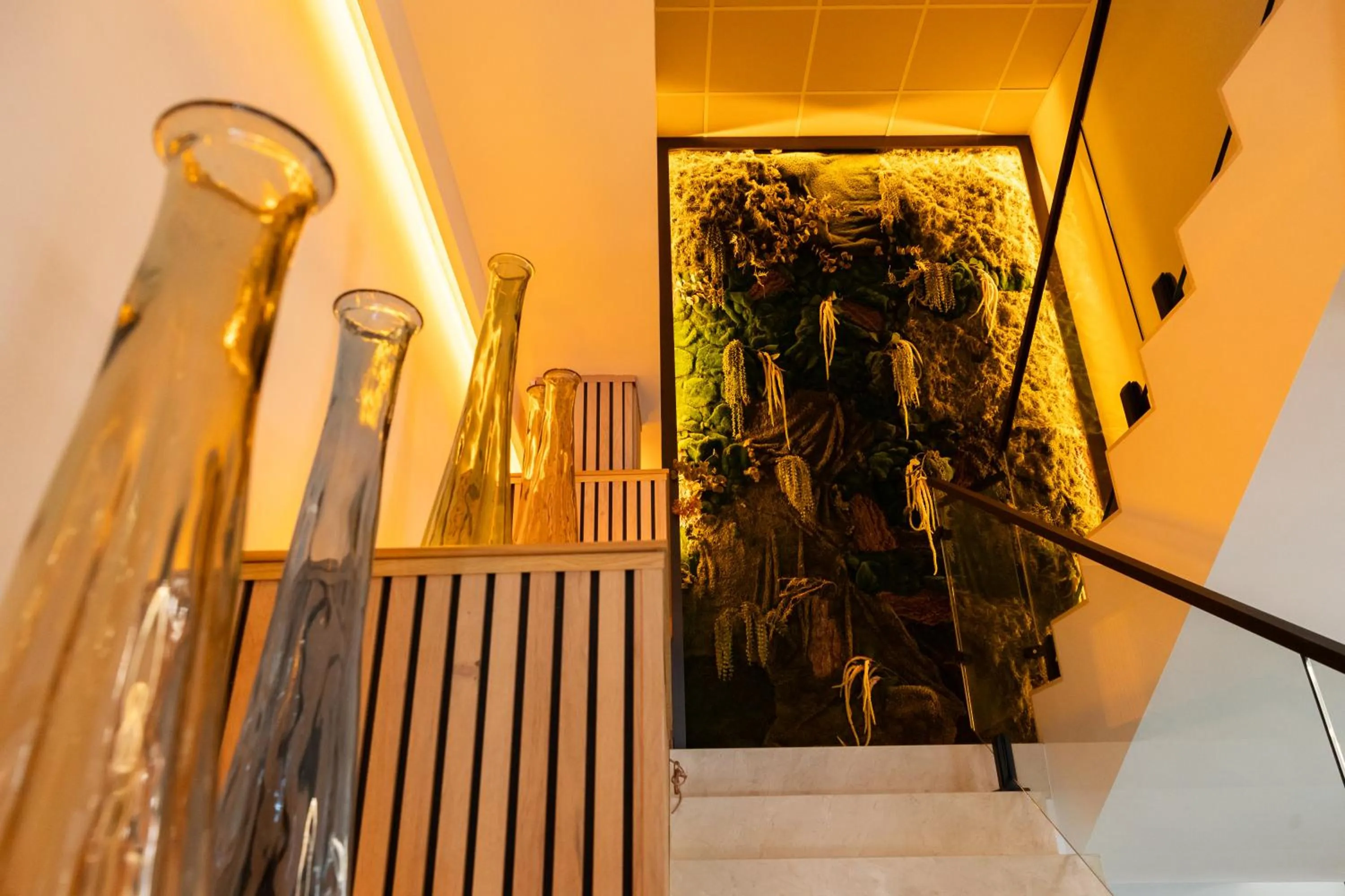 Habitus Casa Lorenzo