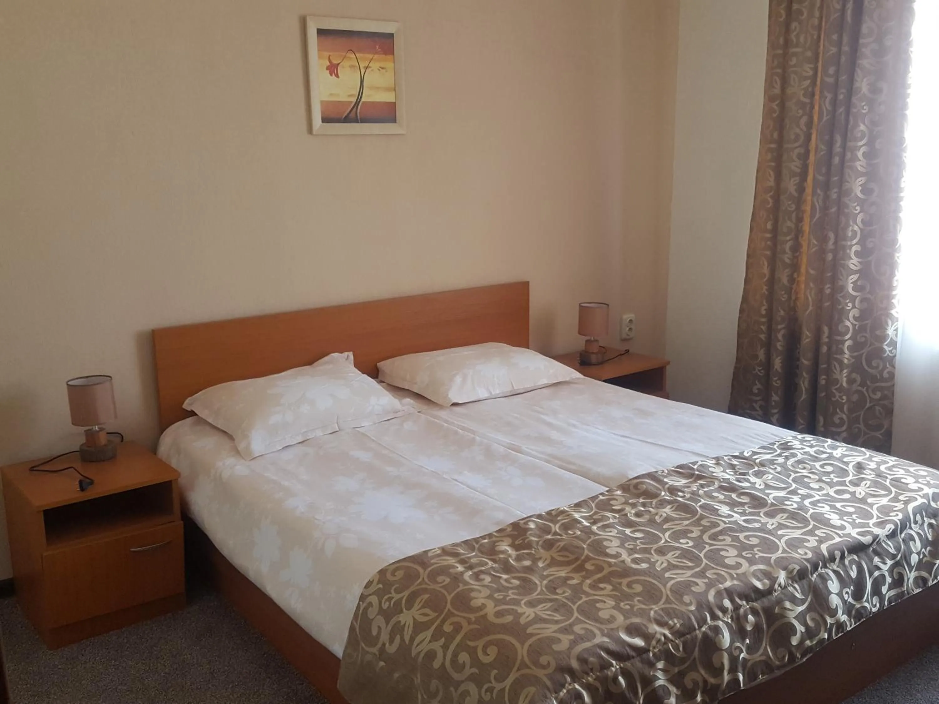 Photo of the whole room in Friends Family Hotel