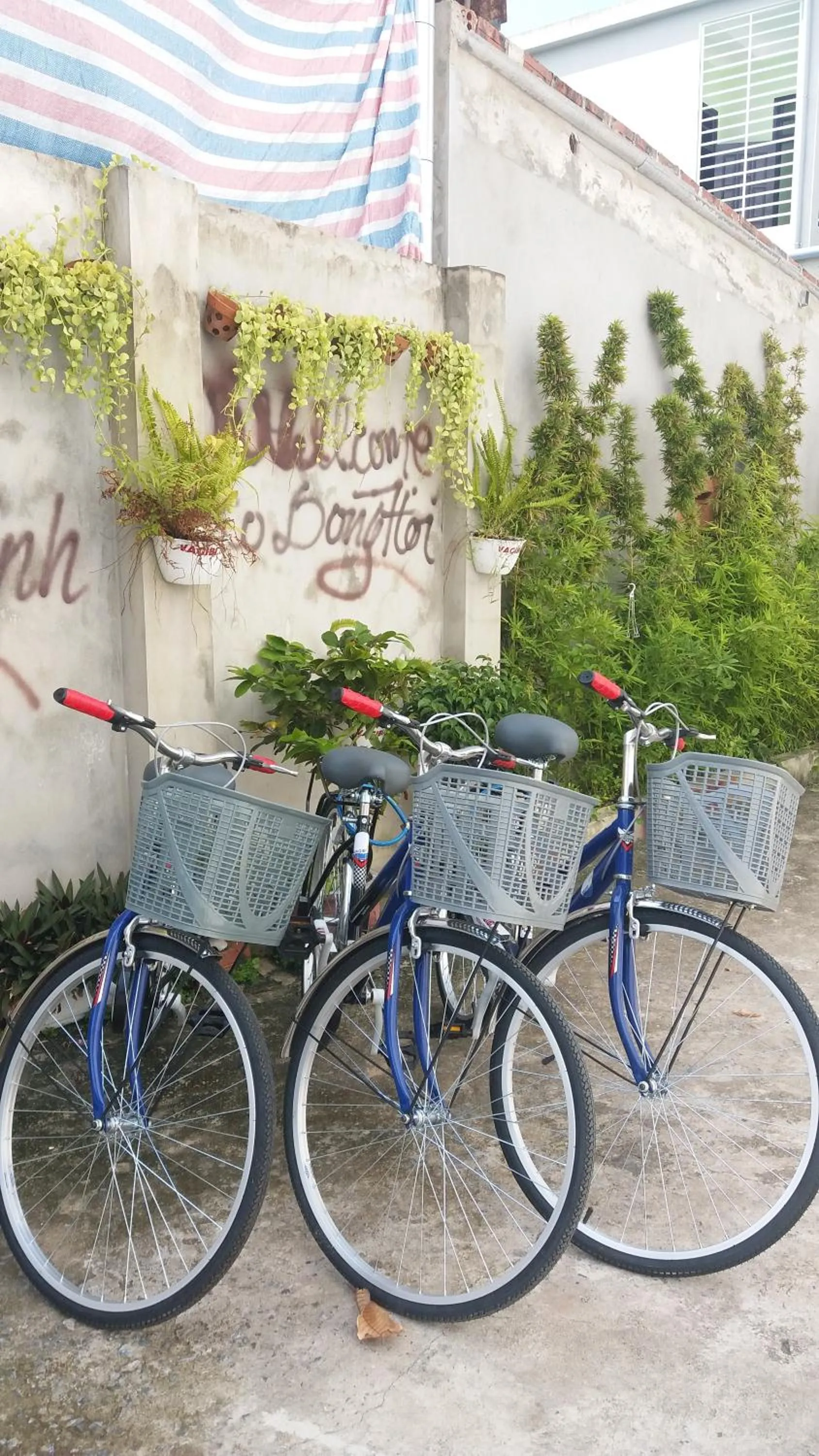 Vagibi Hotel