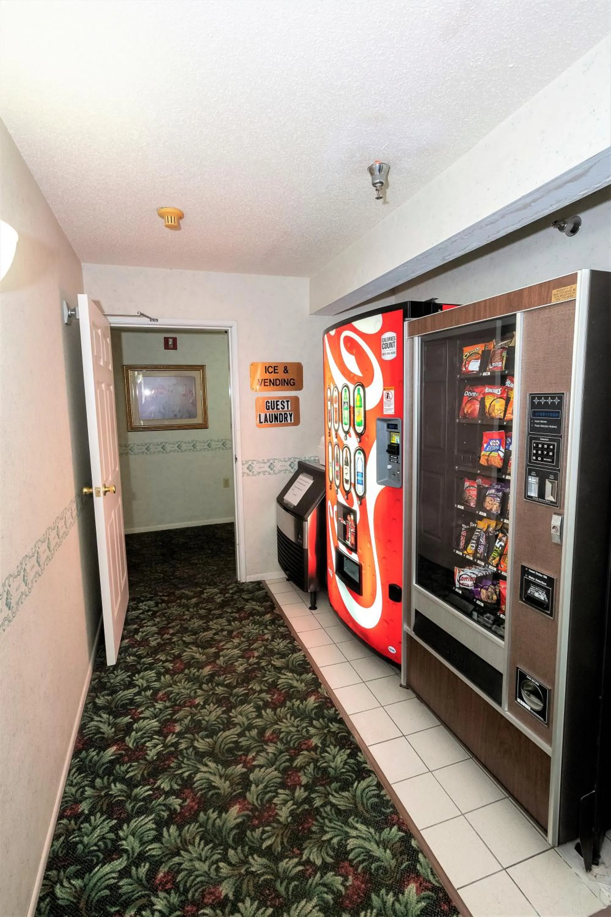 Food and drinks in Mountain Host Motor Inn