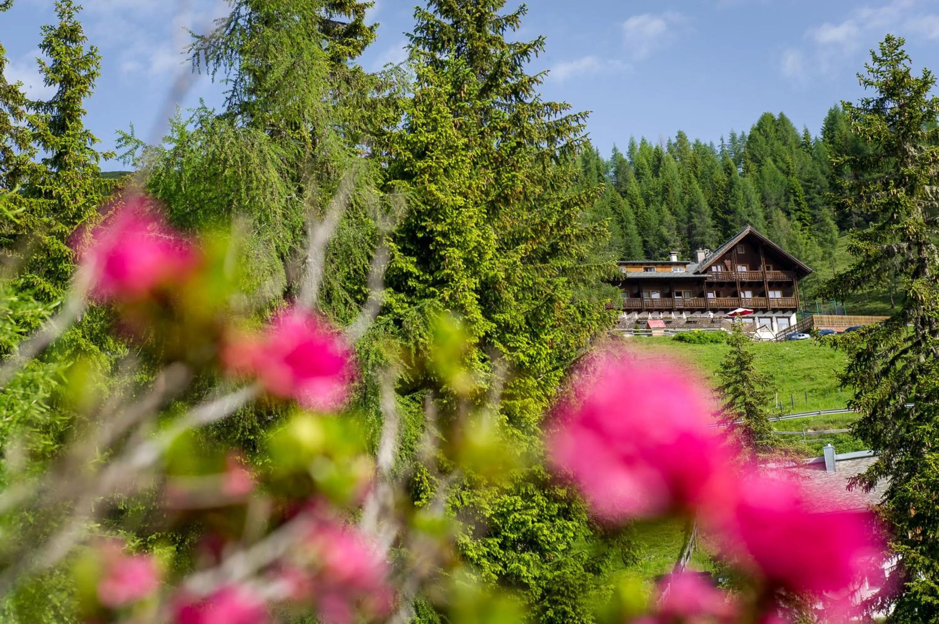 Sattleggers Alpenhof & Feriensternwarte