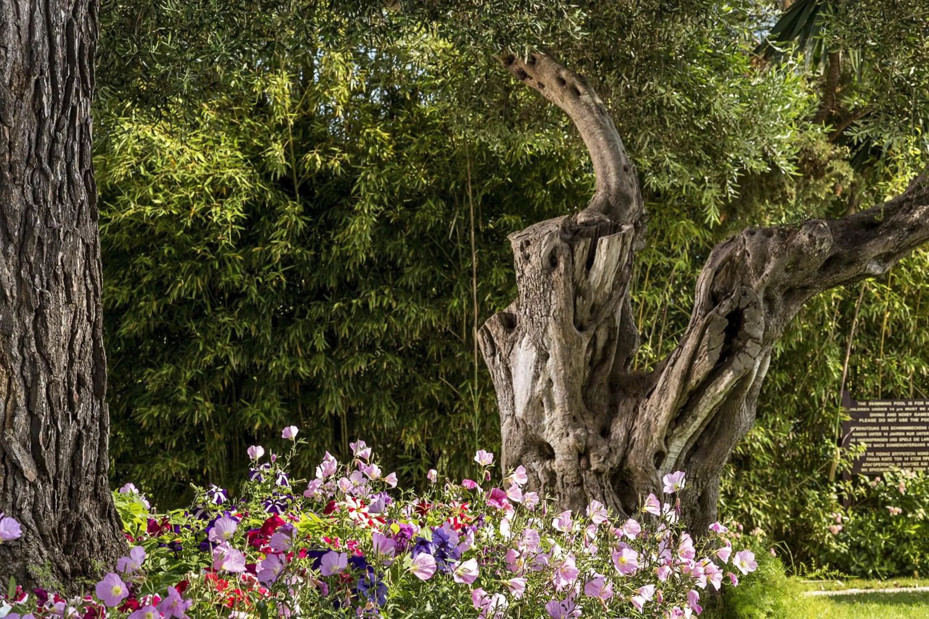 Garden in Kontokali Bay Resort & Spa