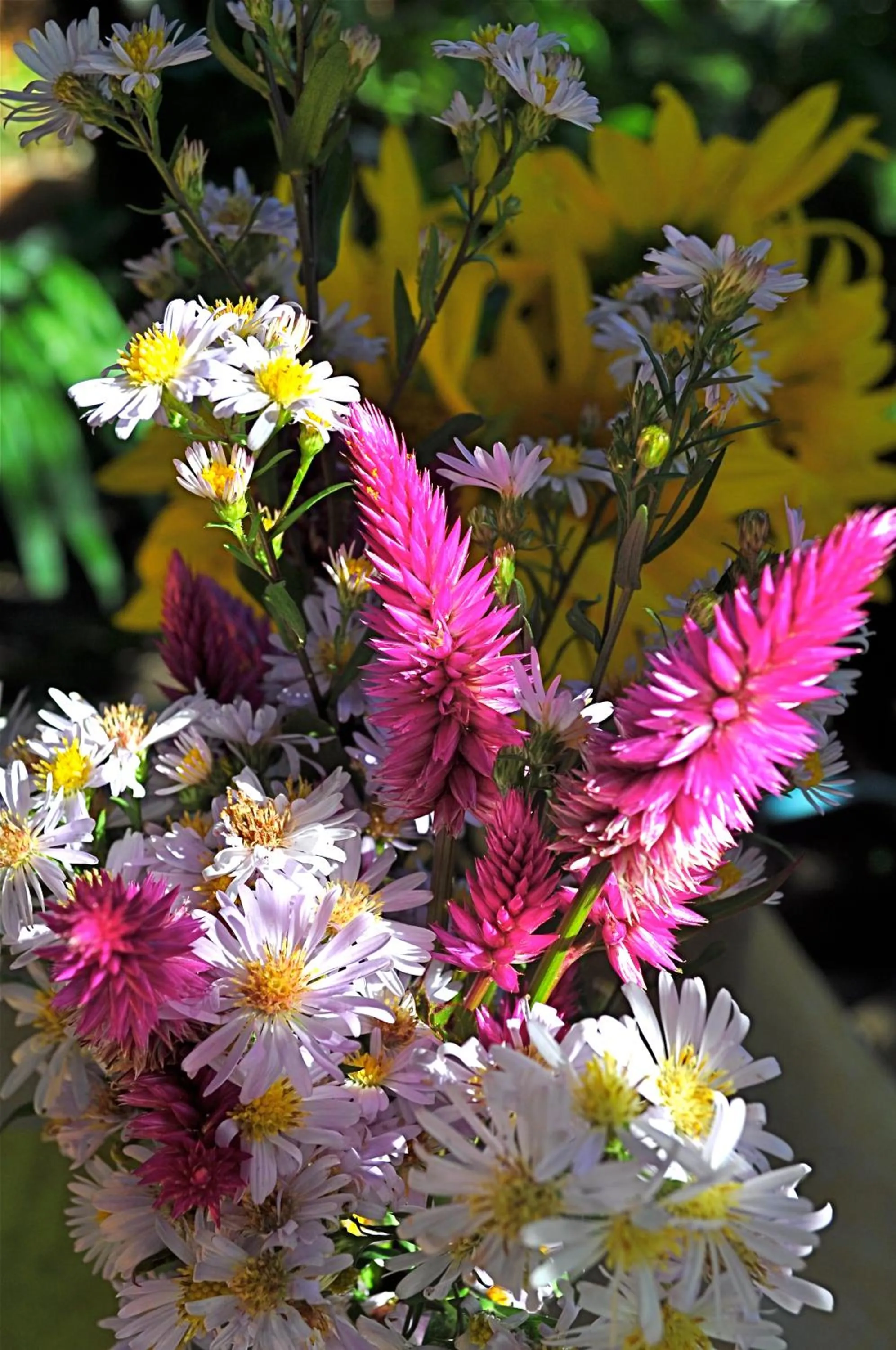 Area and facilities in Pousada Quarto Crescente