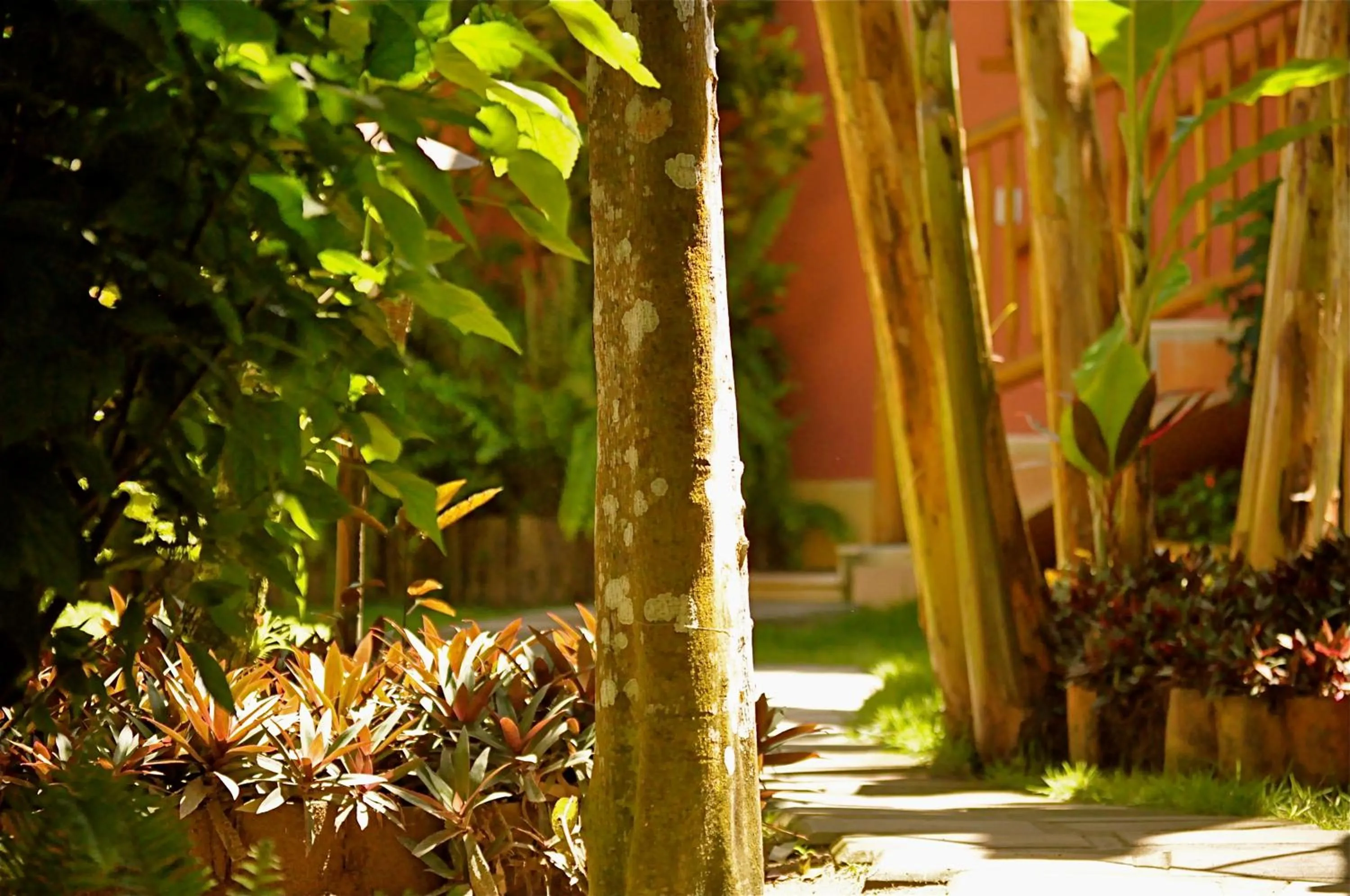 Facade/entrance in Pousada Quarto Crescente