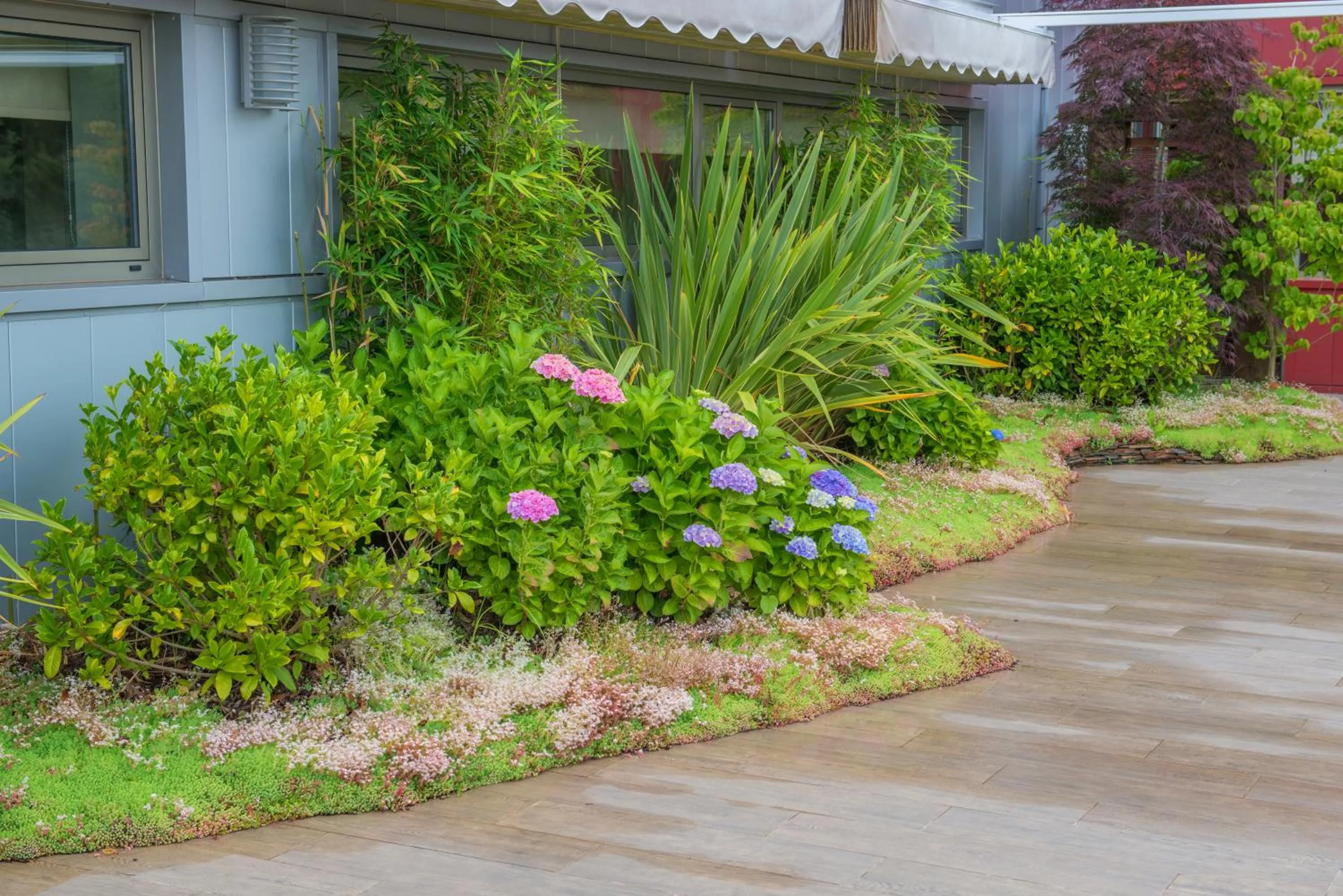 Garden in Hotel Spa Norat Torre Do Deza 4* Superior