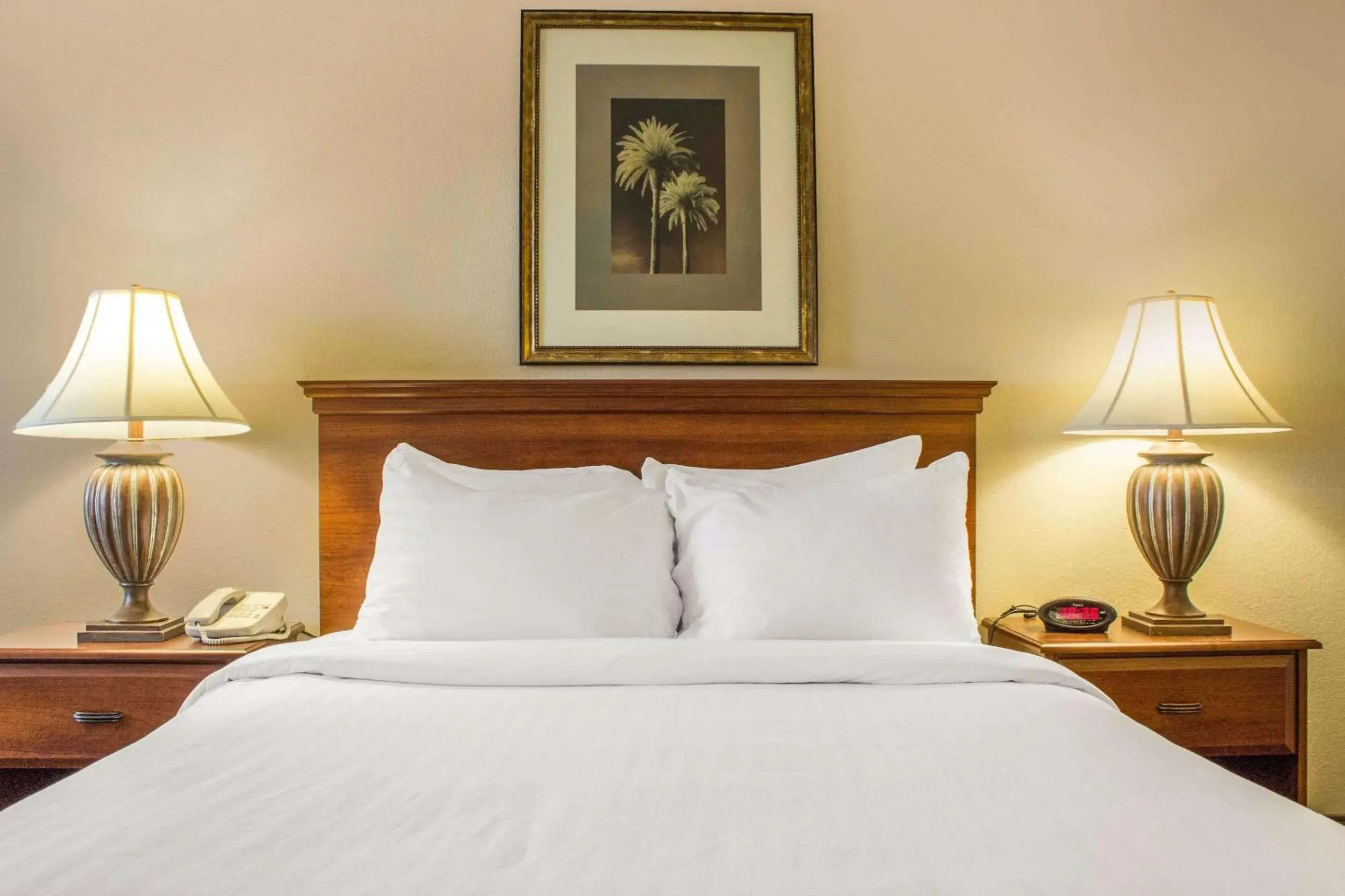 Photo of the whole room, Bed in Quality Inn Benson I-10 Exit 304 Photo of the whole room, Bed in Quality Inn Benson I-10 Exit 304