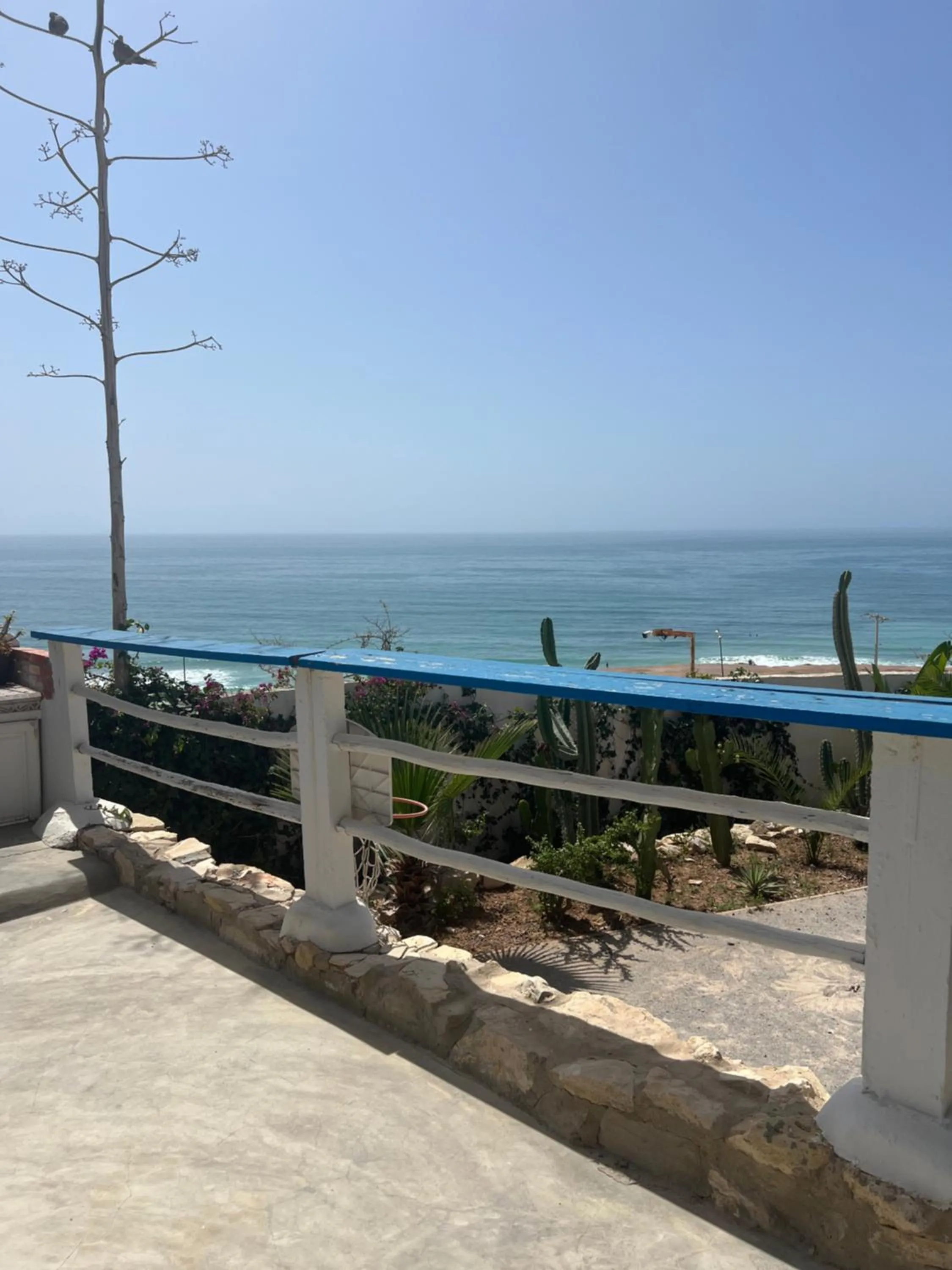 Garden in Villa Jardin De l'Ocean