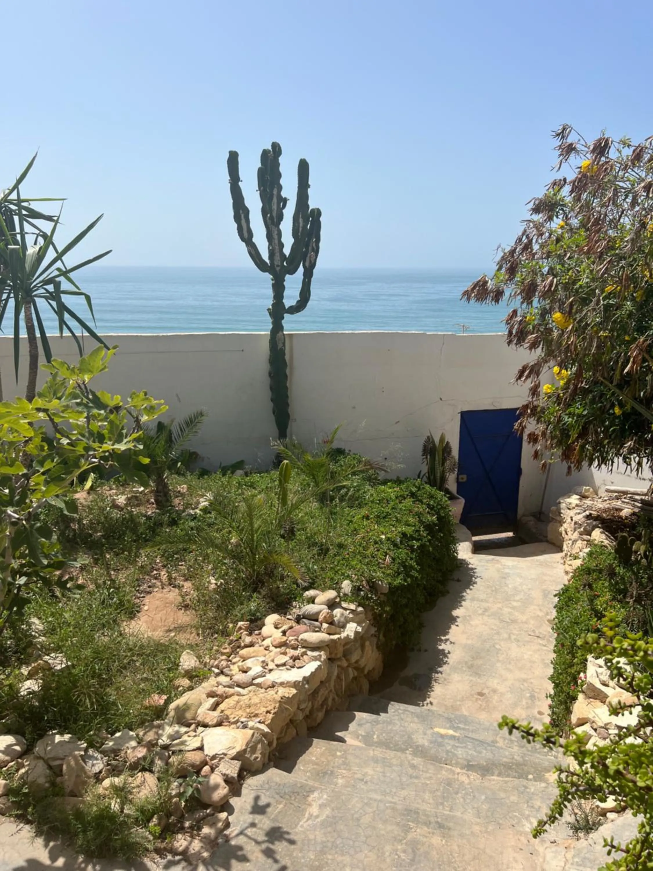 Garden in Villa Jardin De l'Ocean