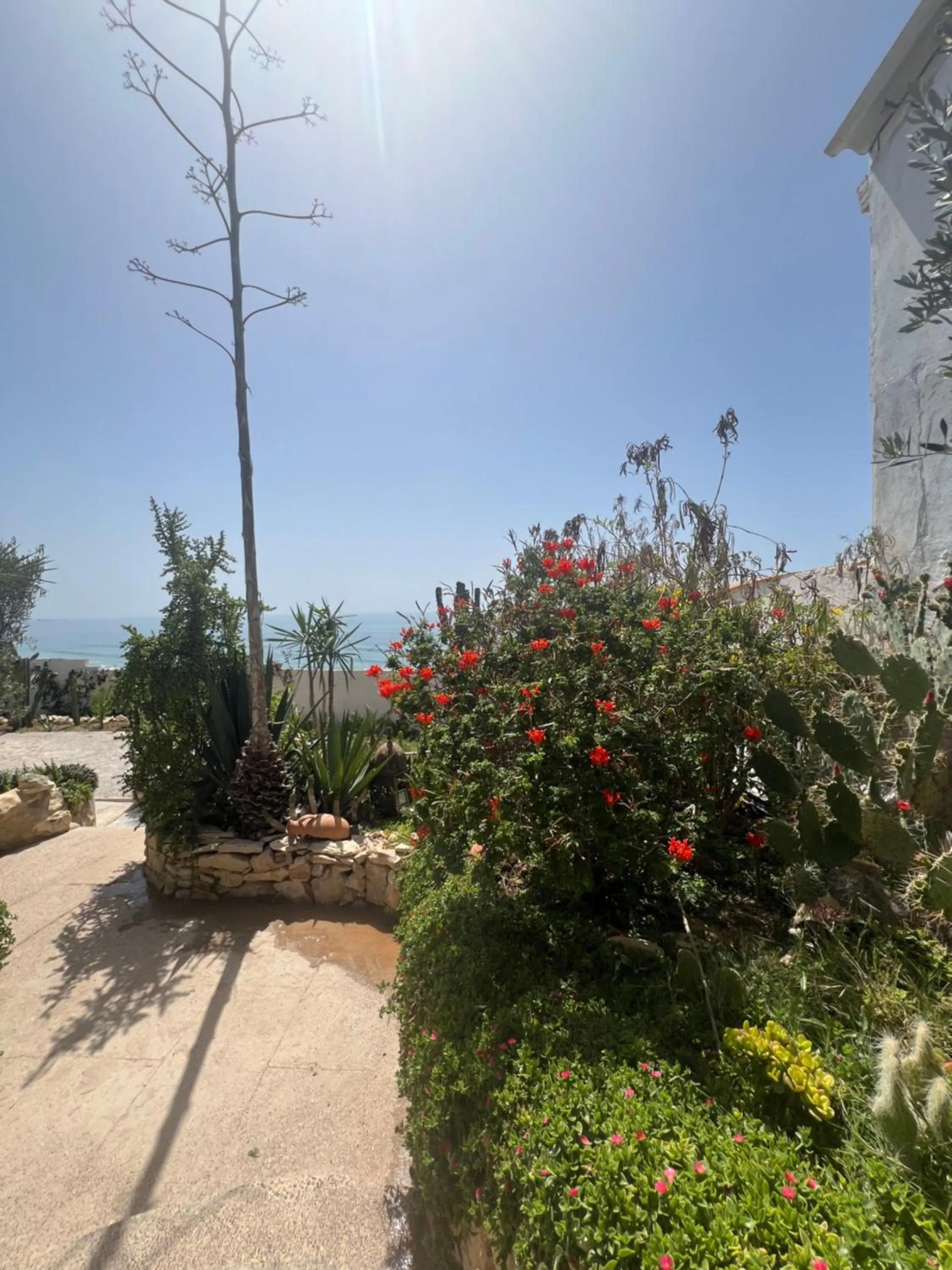 Garden in Villa Jardin De l'Ocean