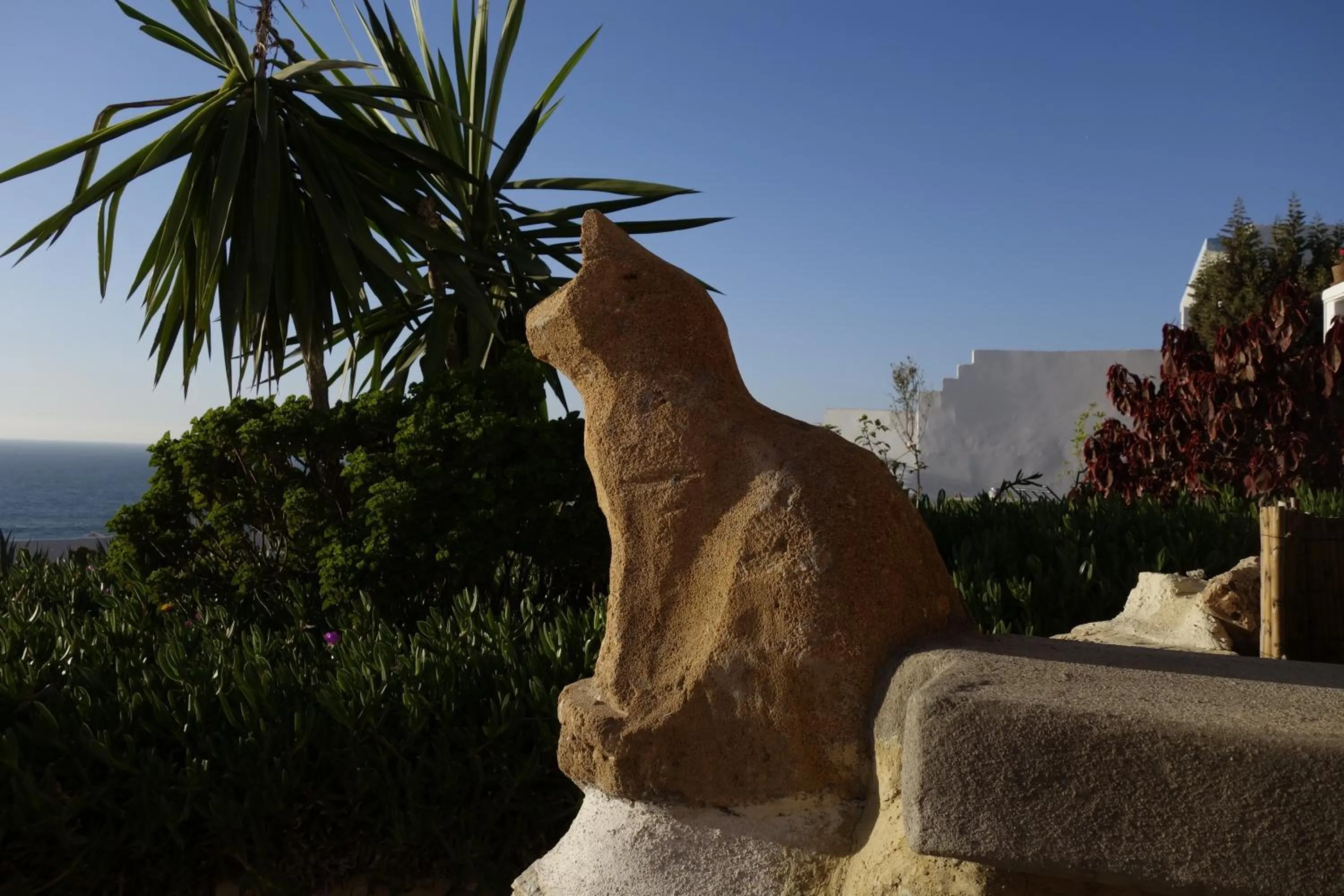 Garden in Villa Jardin De l'Ocean