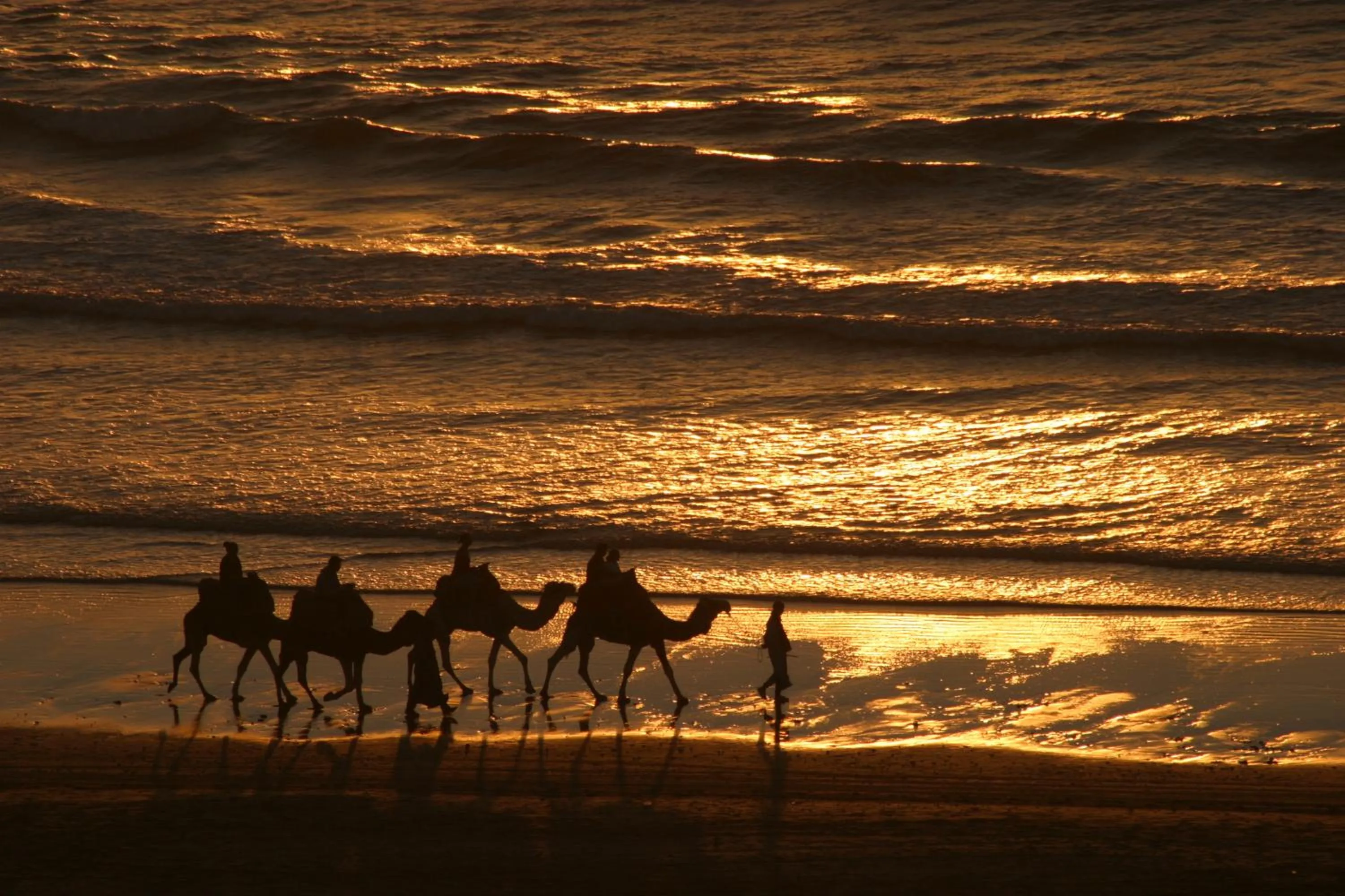 Sea view in Villa Jardin De l'Ocean