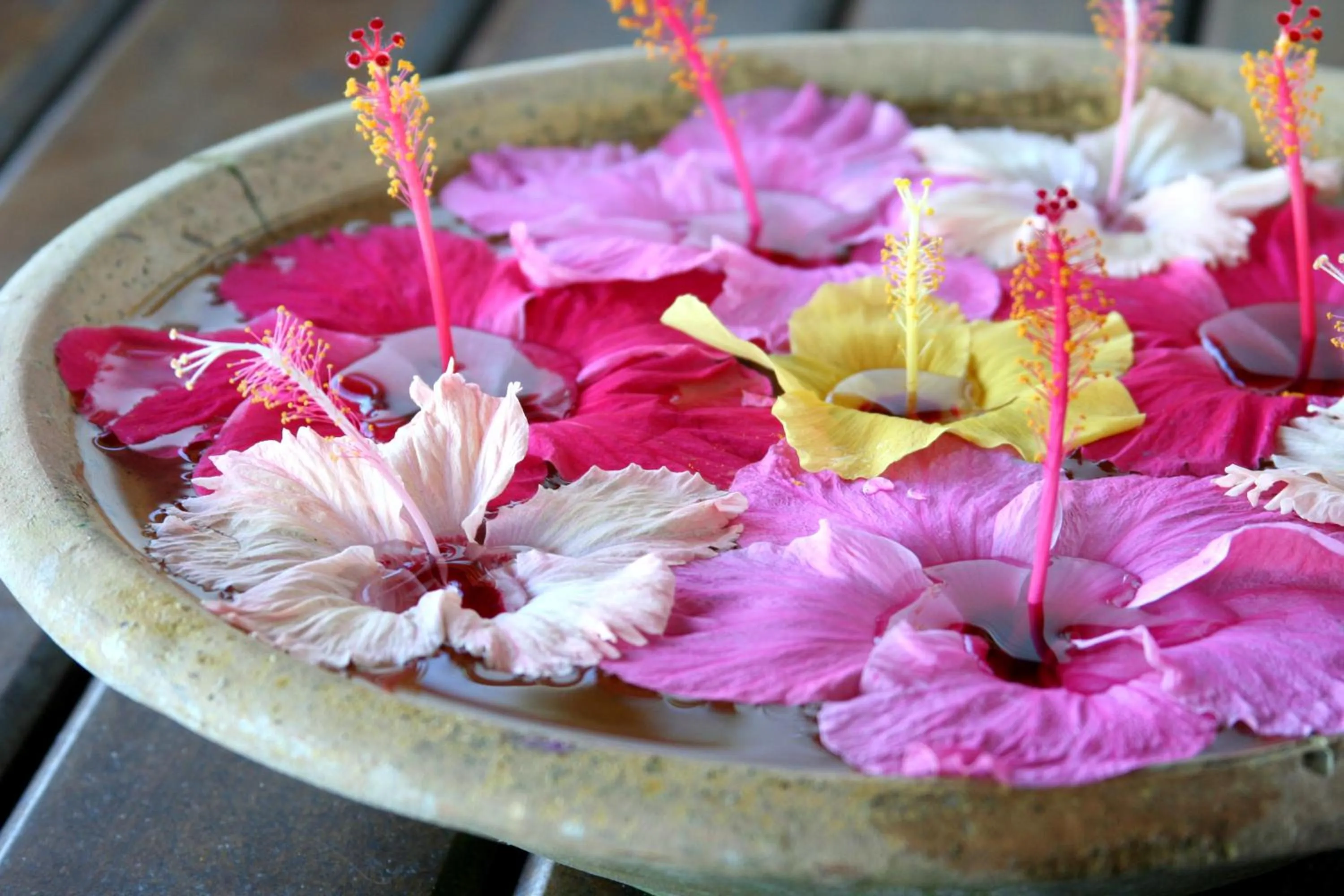Decorative detail in Arraial D'ajuda Eco Resort