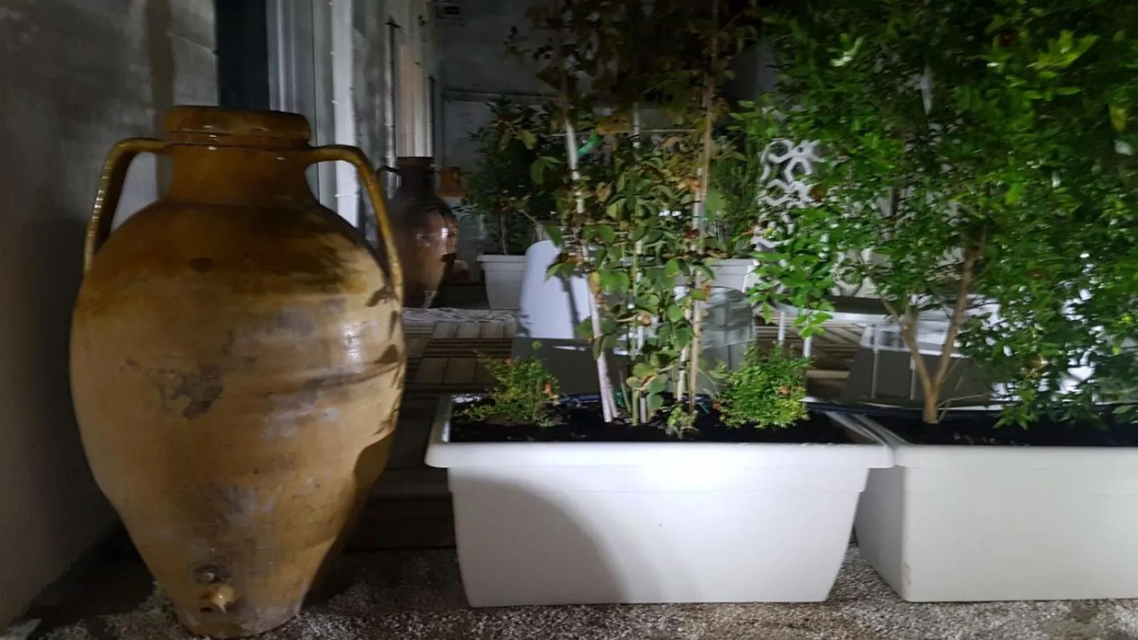 Garden in Le Sinfonie Rooms