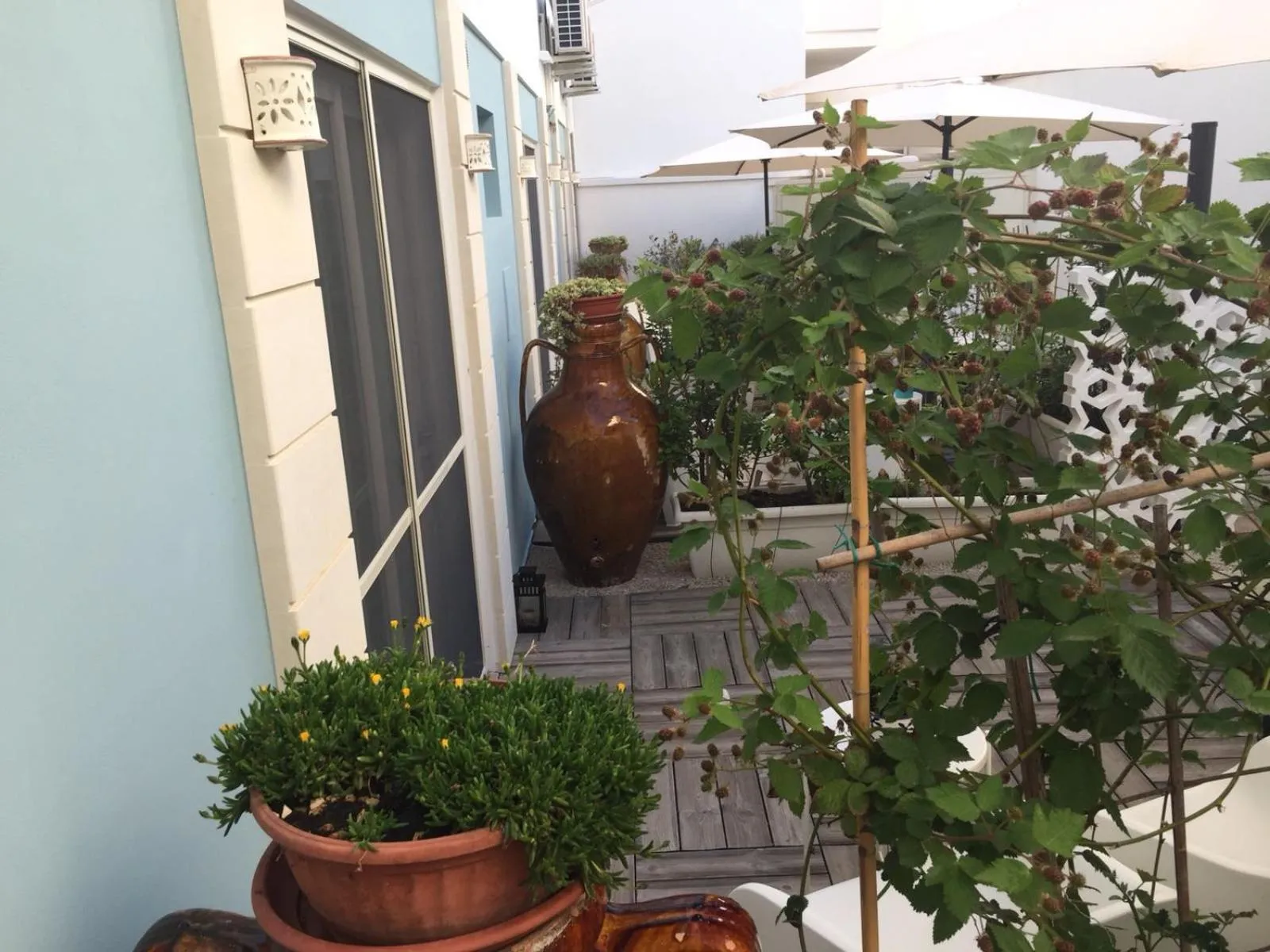 Garden in Le Sinfonie Rooms