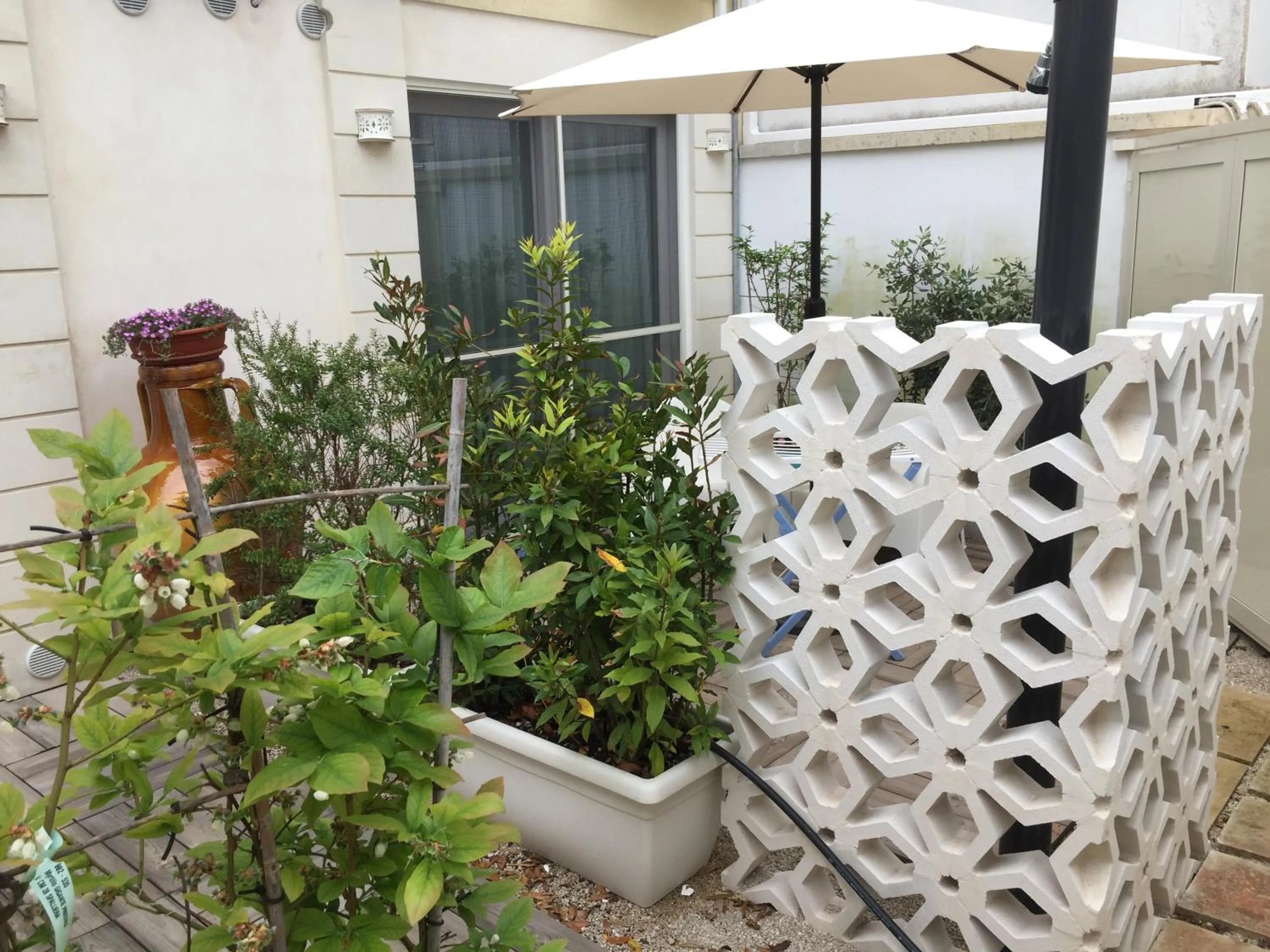 Garden in Le Sinfonie Rooms
