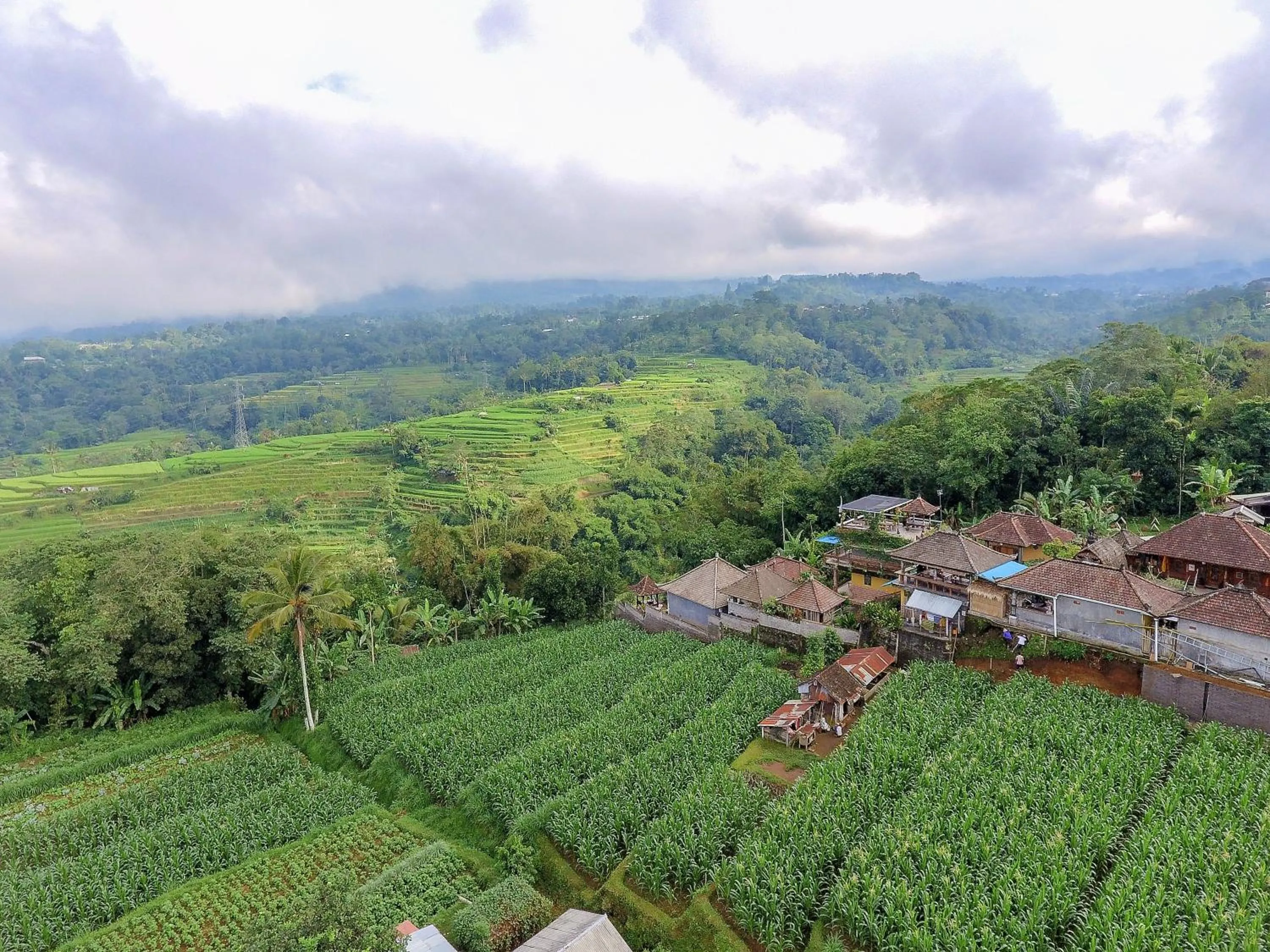 Spring in Pondok Nyoman Bedugul by AGATA