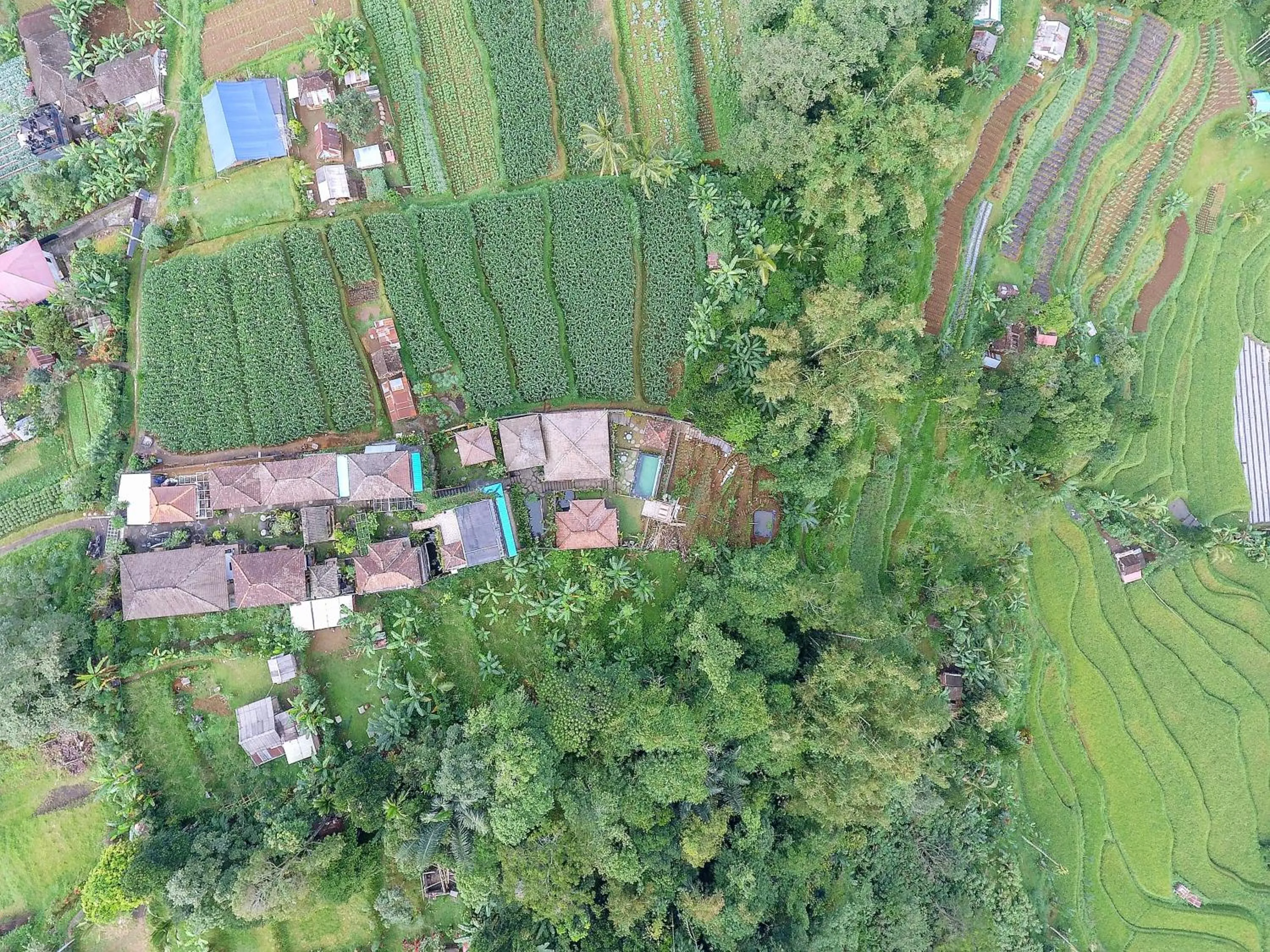Day in Pondok Nyoman Bedugul by AGATA