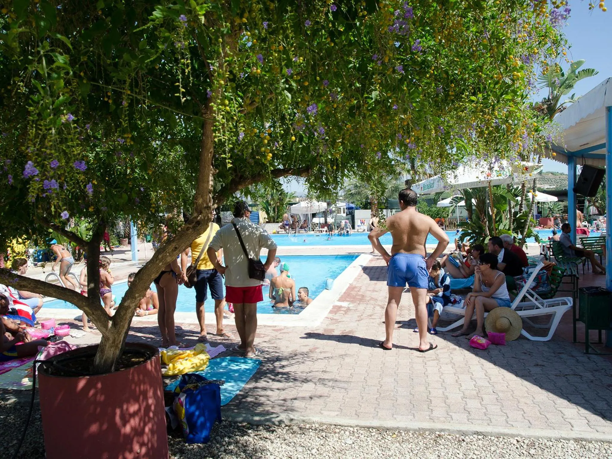 Swimming pool in Kamemi Village & Camping