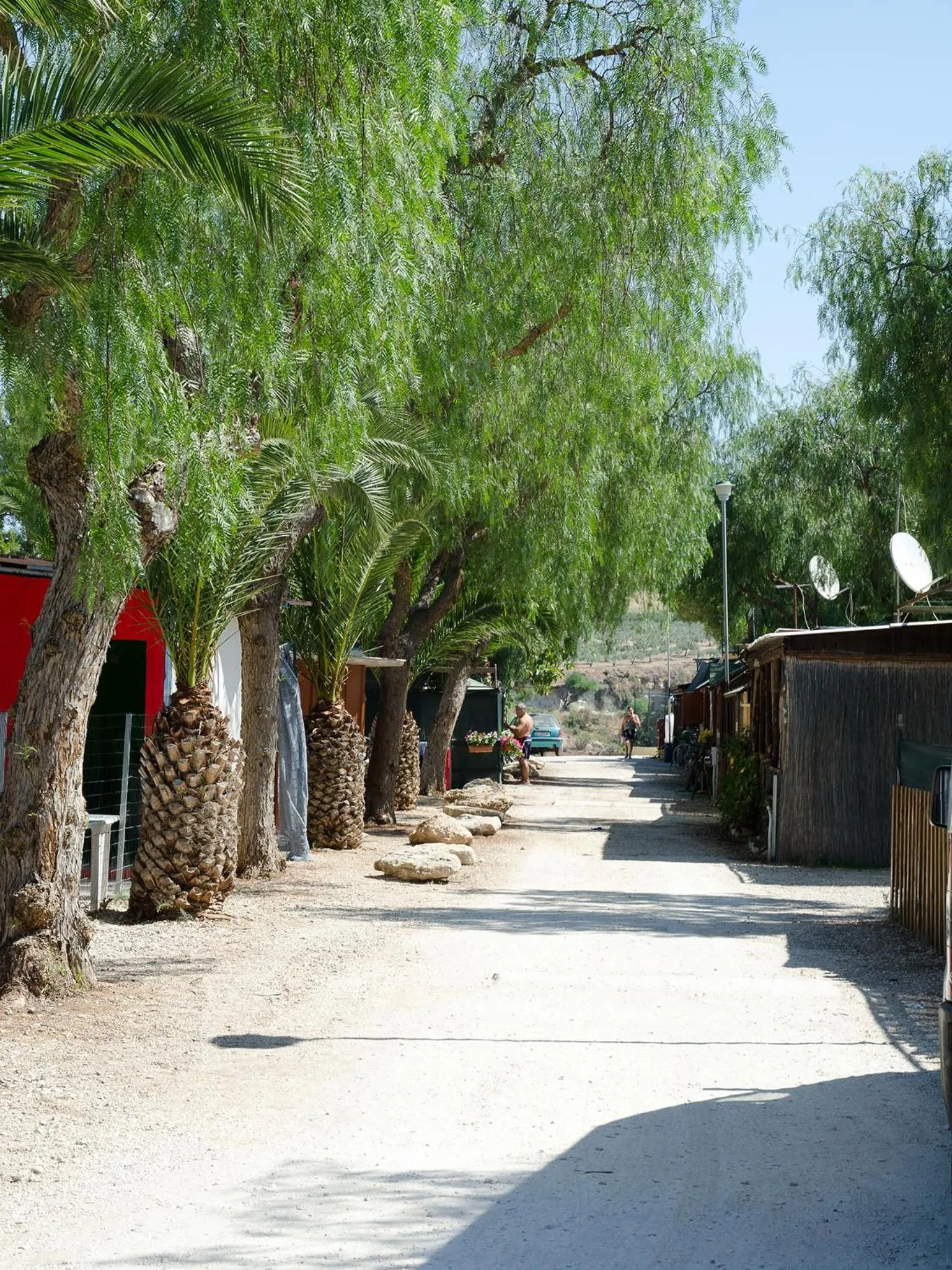 Natural landscape in Kamemi Village & Camping