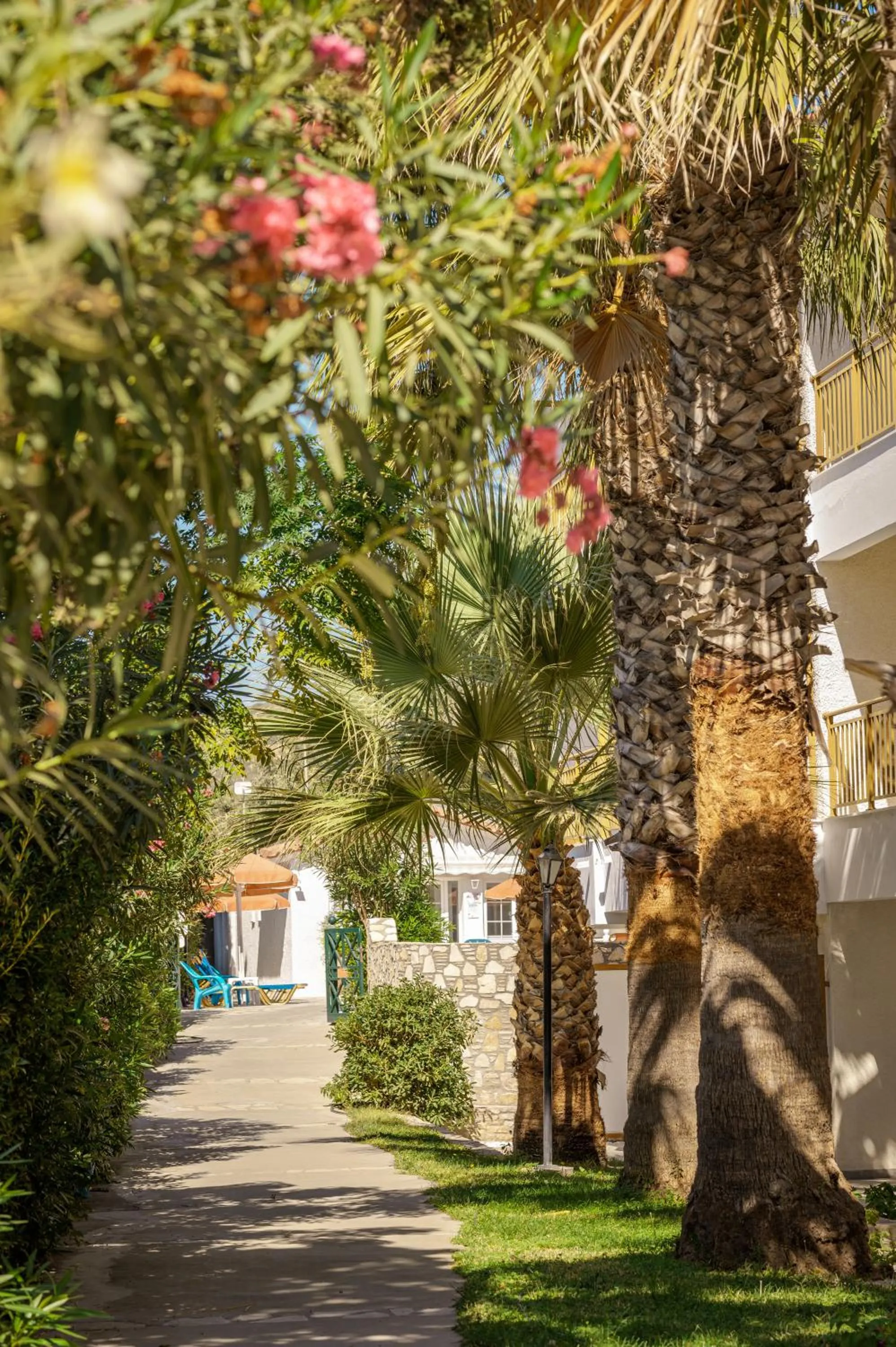 Garden view in Hydrele Beach Hotel & Village