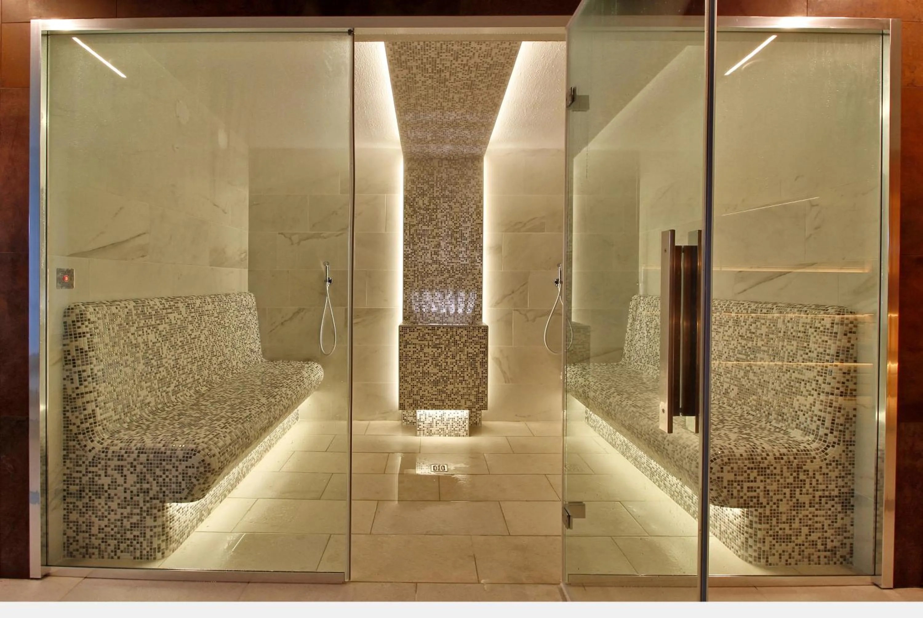 Steam room in Hotel Elite