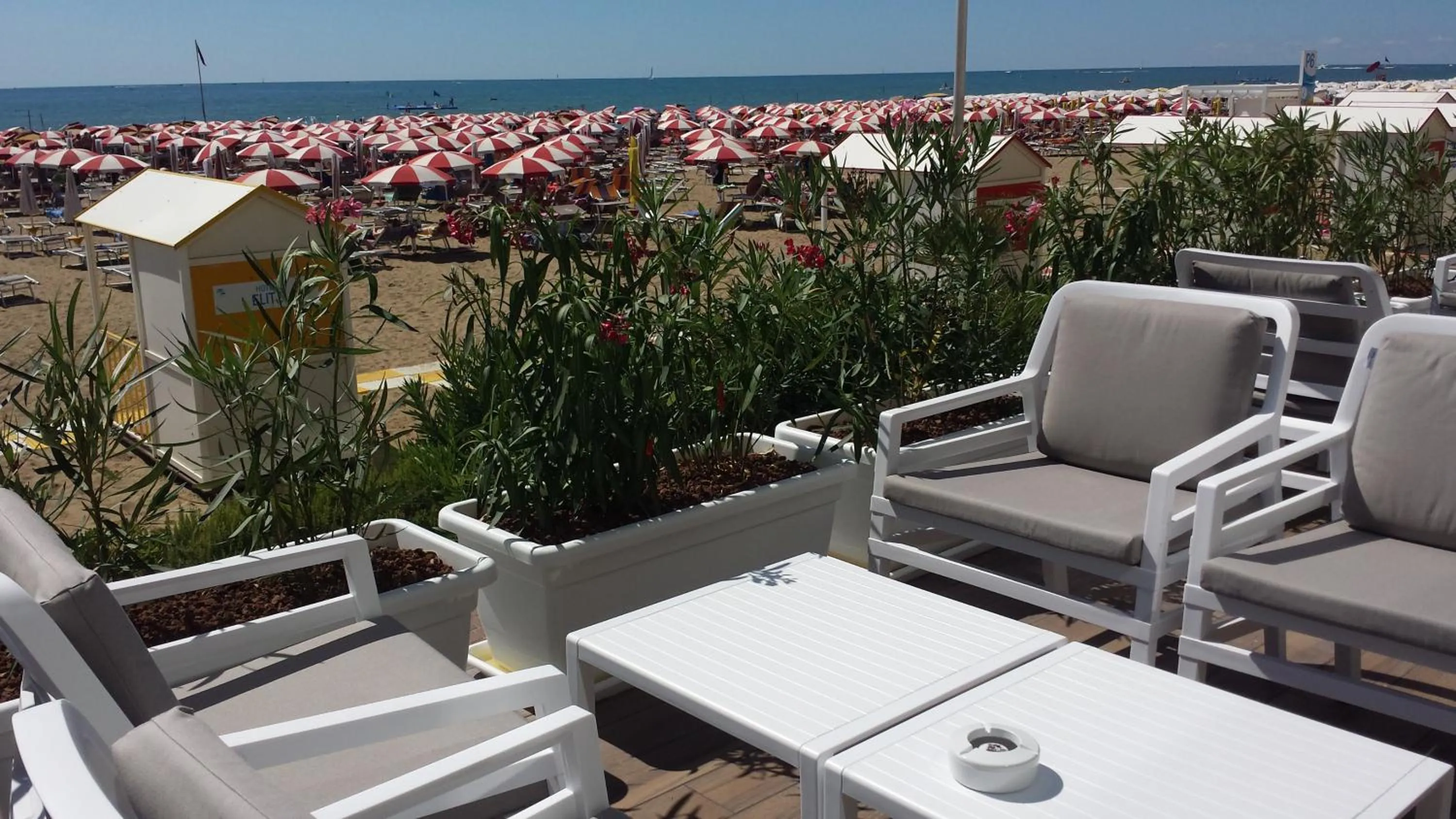 Restaurant/places to eat in Hotel Elite