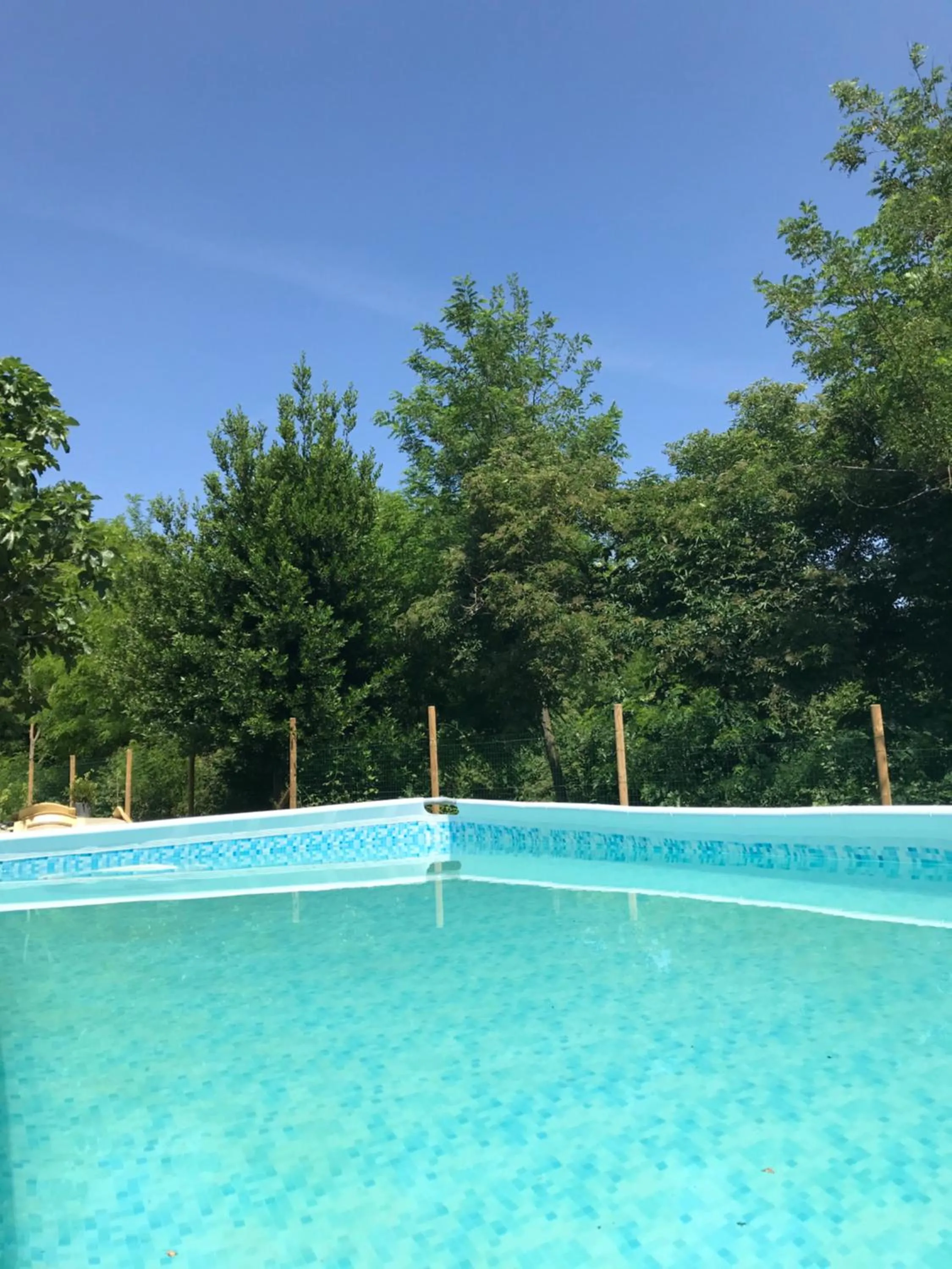 Swimming pool in Villa Roccaccia